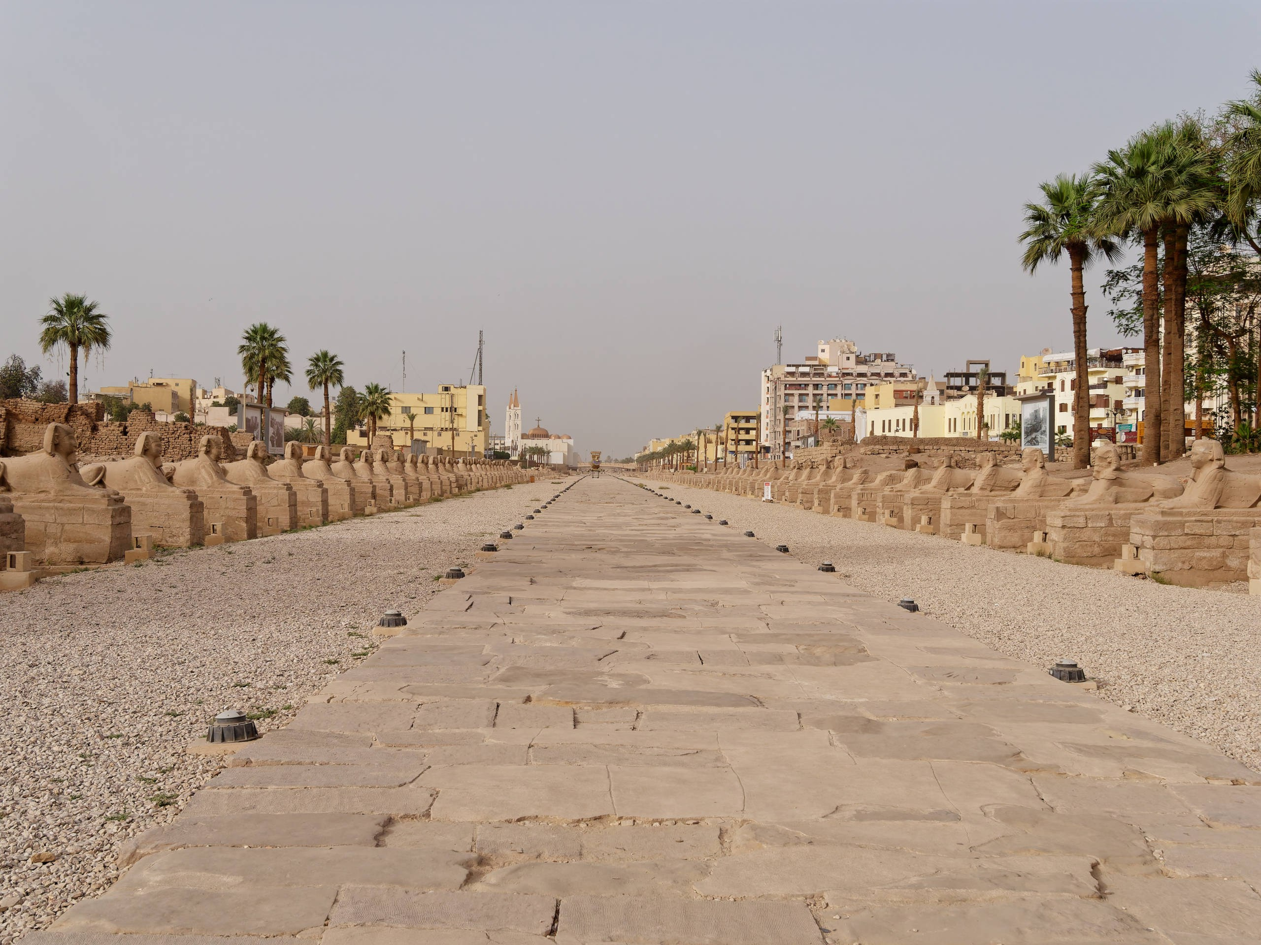 Луксор 2022, город. Избранные фотографии