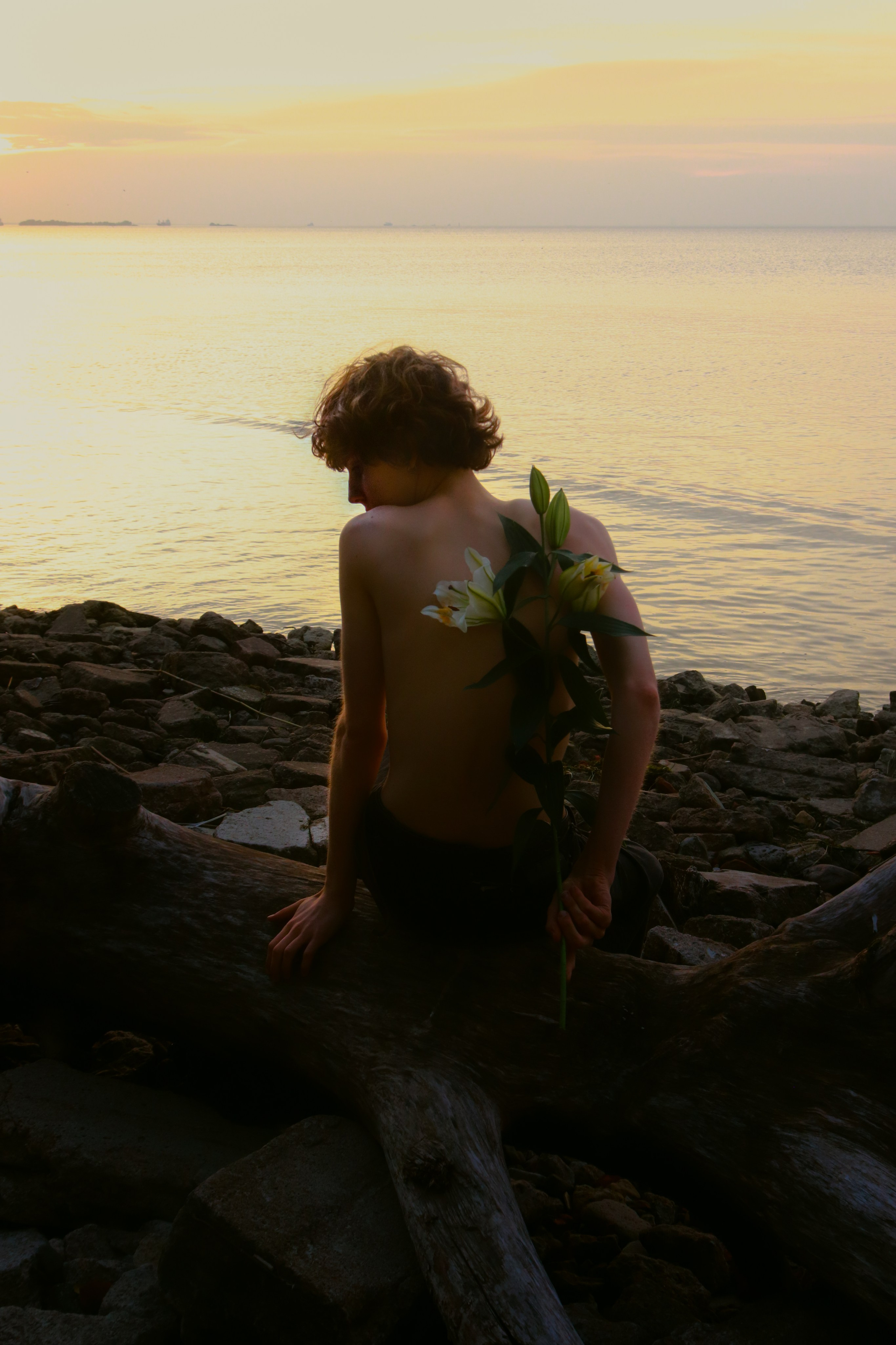 Venus as a boy. Полина Щапова БМК235 Медиаком — НИУ ВШЭ