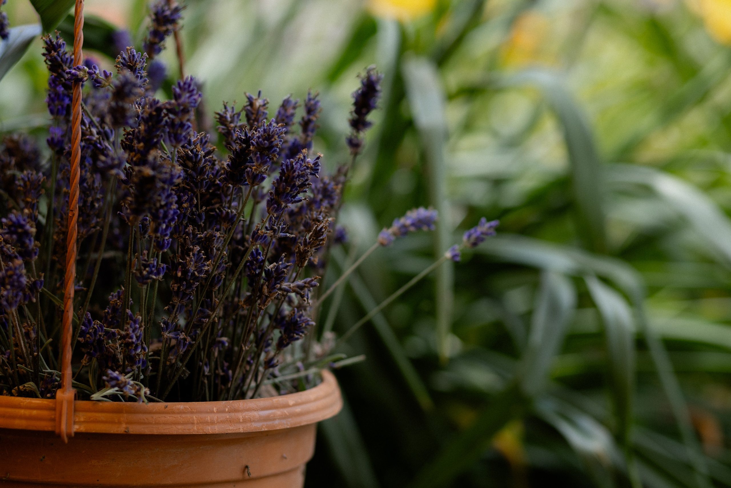 Свадебная фотосессия в агроусадьбе Лабодянка в Минске. Свадебный фотограф в Минске/Беларуси Сергей Спиридонов
