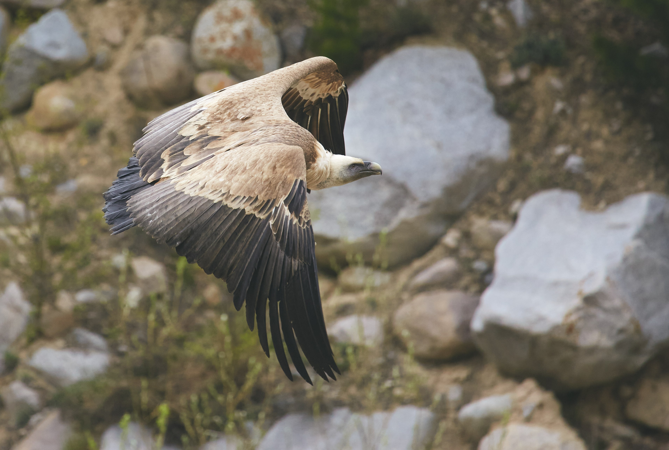 Путешествия и лайфстайл. Горный фотограф на Кавказе Никита Першин