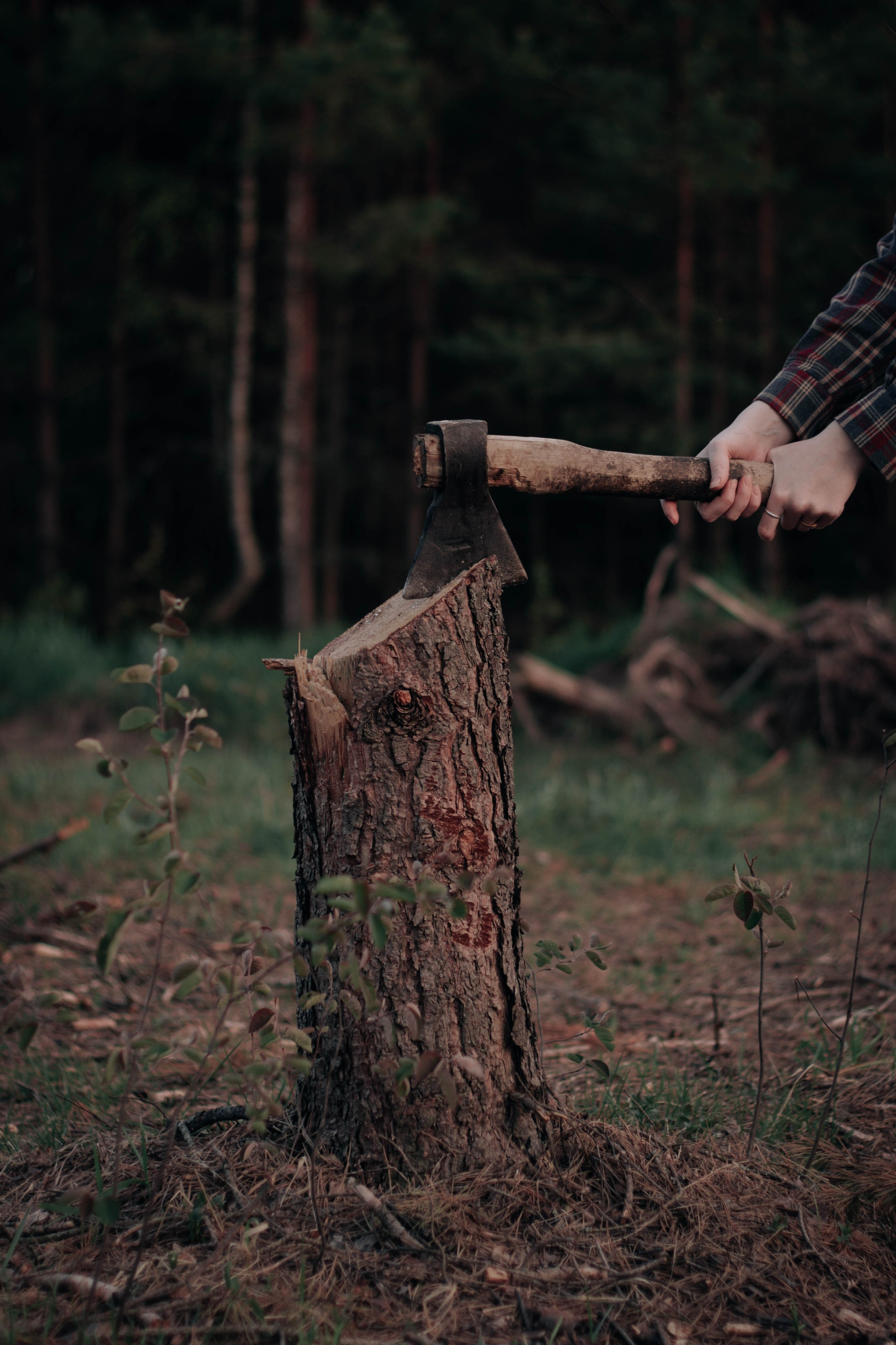 No trees. Семейный и детский фотограф в Павловском Посаде Сарапкина Наталья