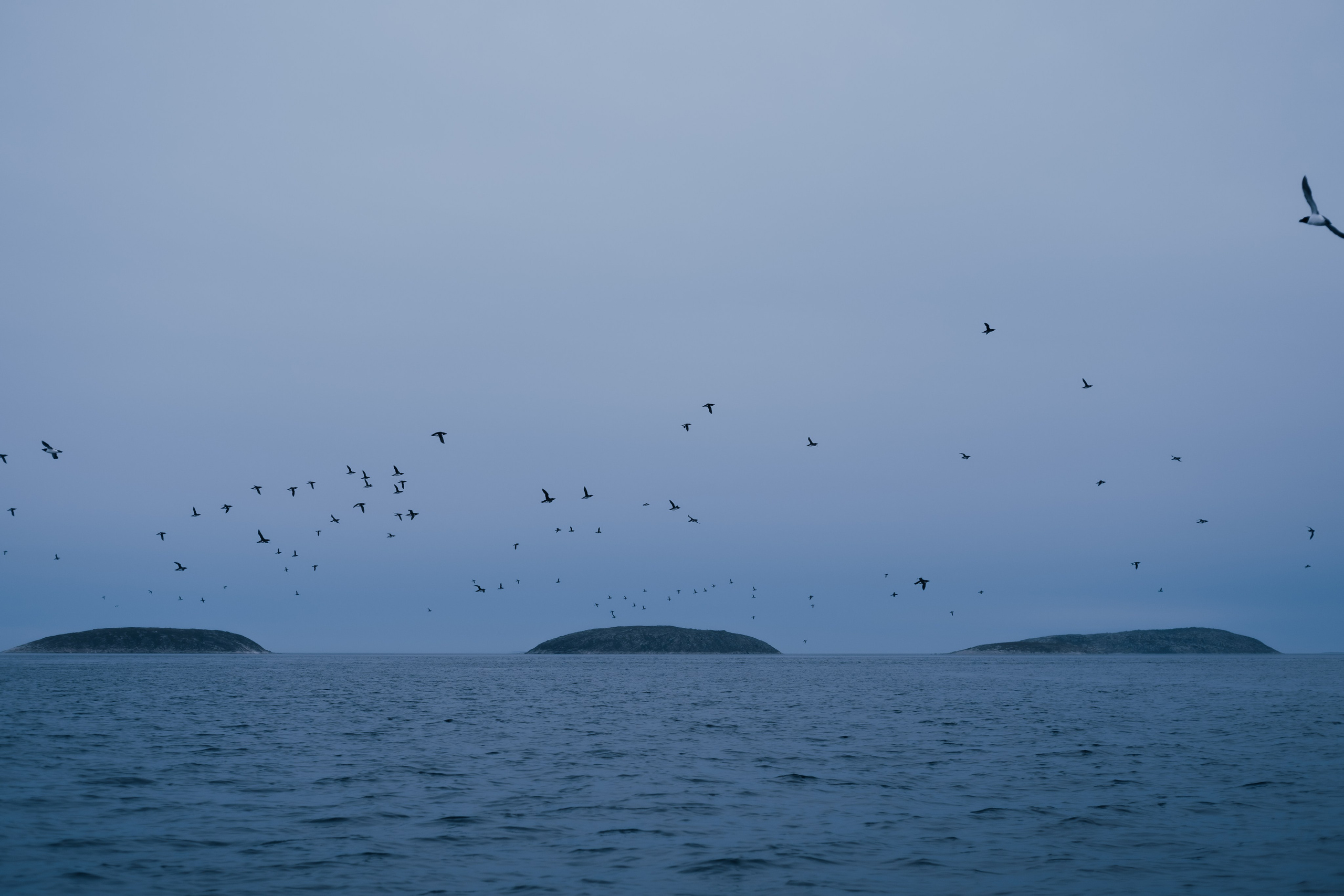 Карелия и Соловецкие острова. Обо мне