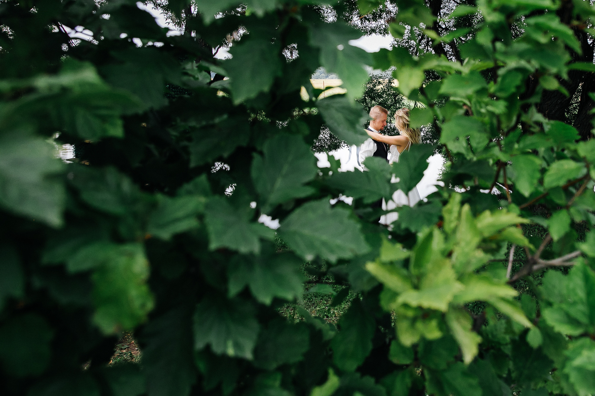 Луговая/запретка (Лобня). Свадебный и семейный фотограф в Москве и Лобне Евгений Пушкин