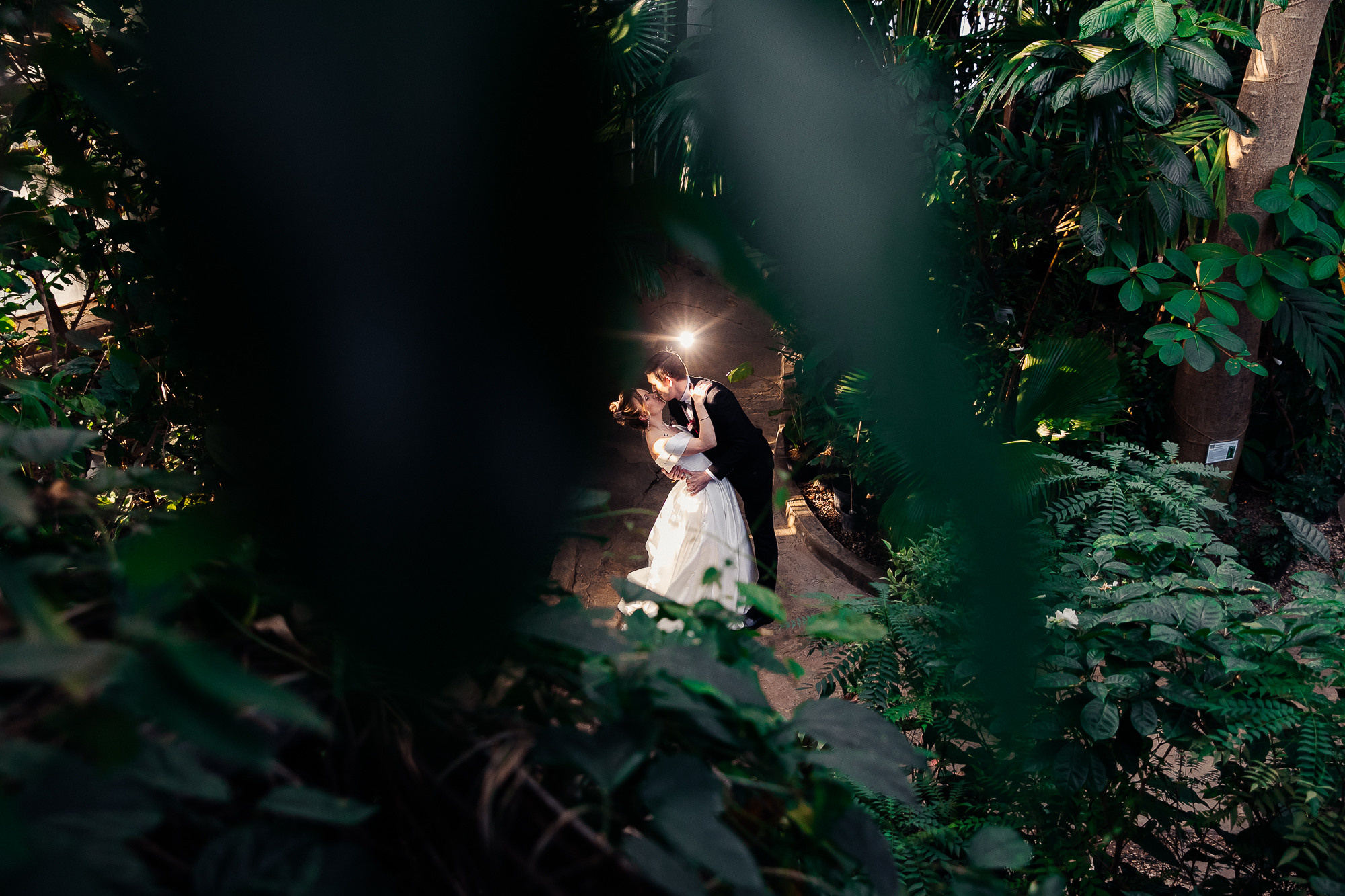 Старая Фондовая оранжерея. Свадебный и семейный фотограф в Москве и Лобне Евгений Пушкин