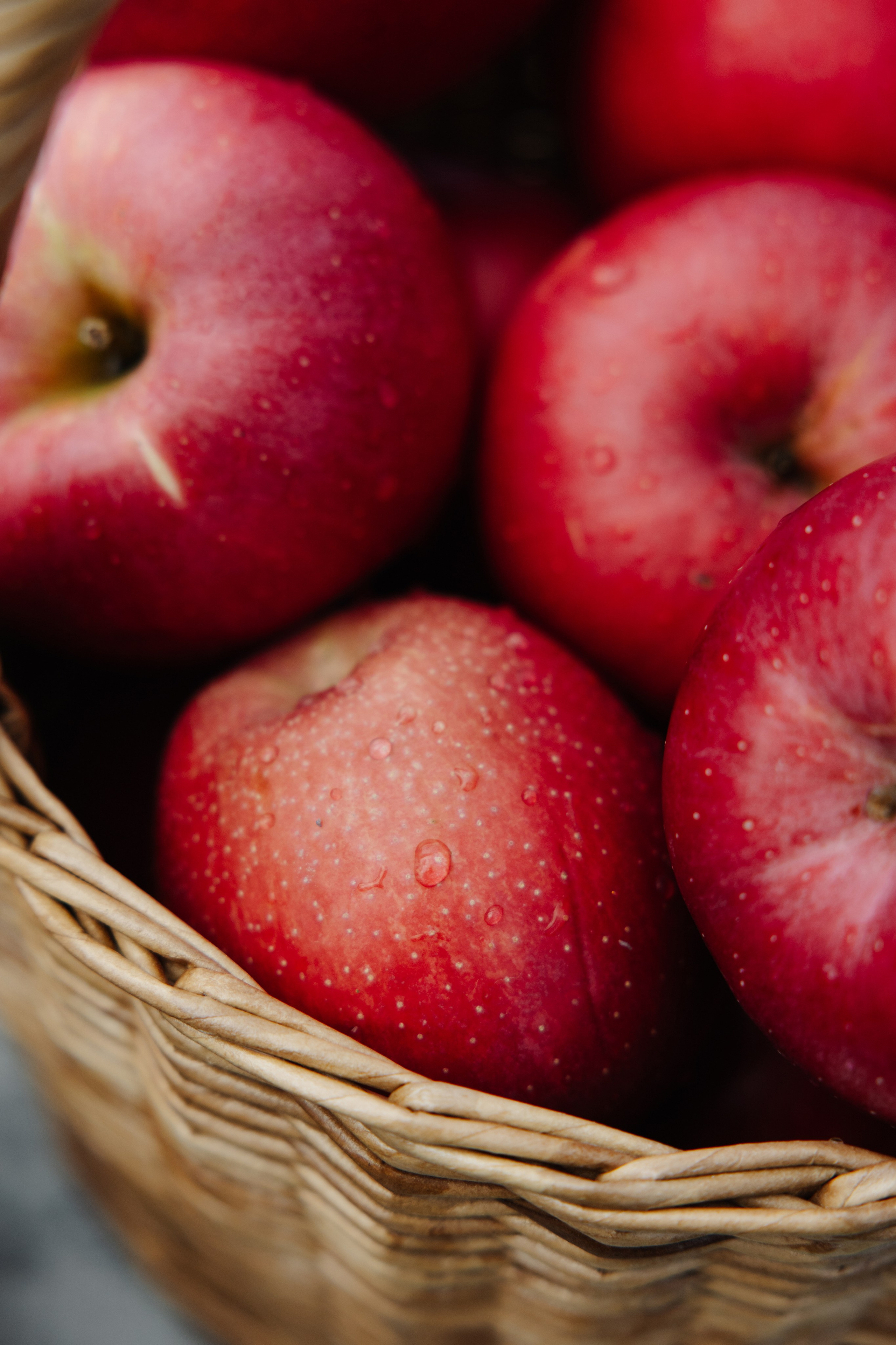 ГЕНДЕР ПАТИ. Фотограф в Красноярске