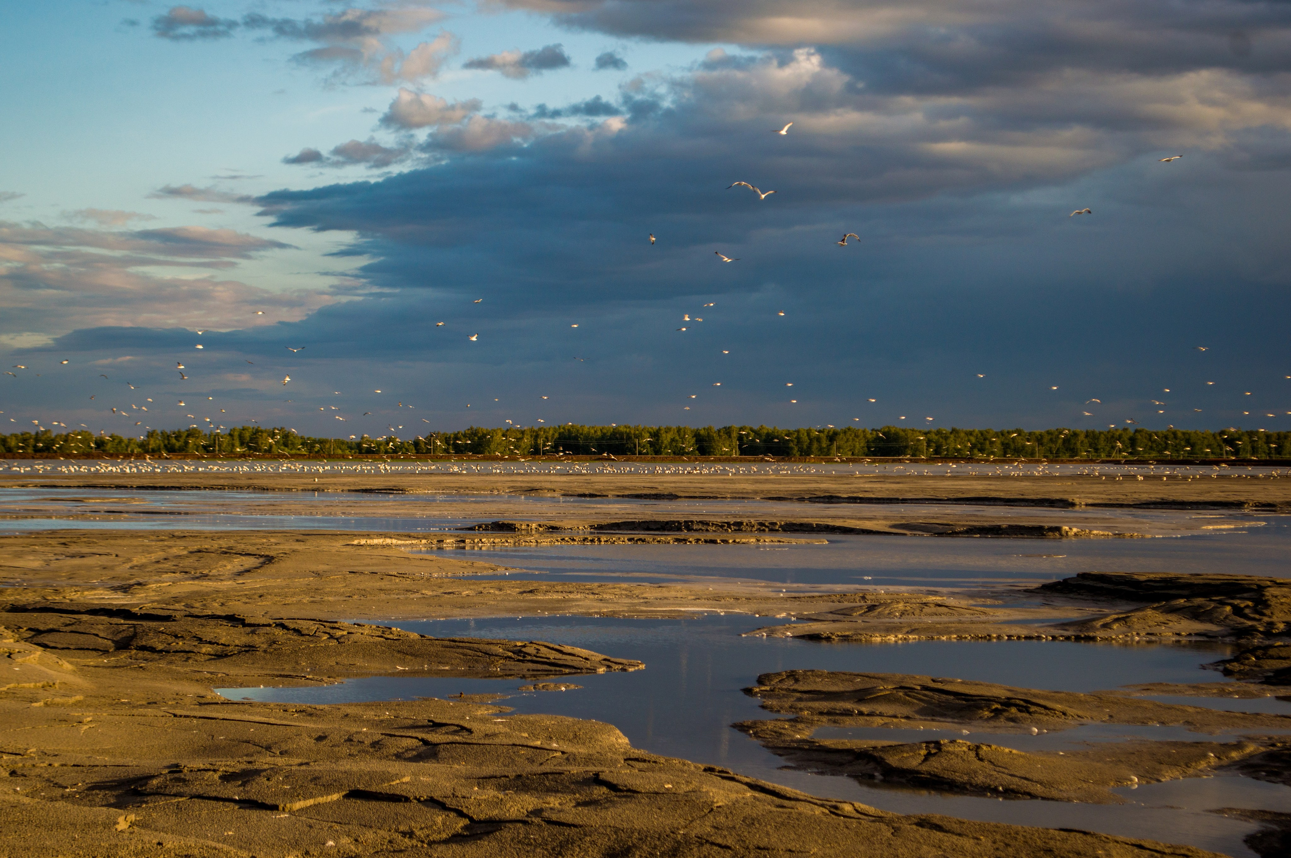 Пейзажи. IrinaOklupinaPH