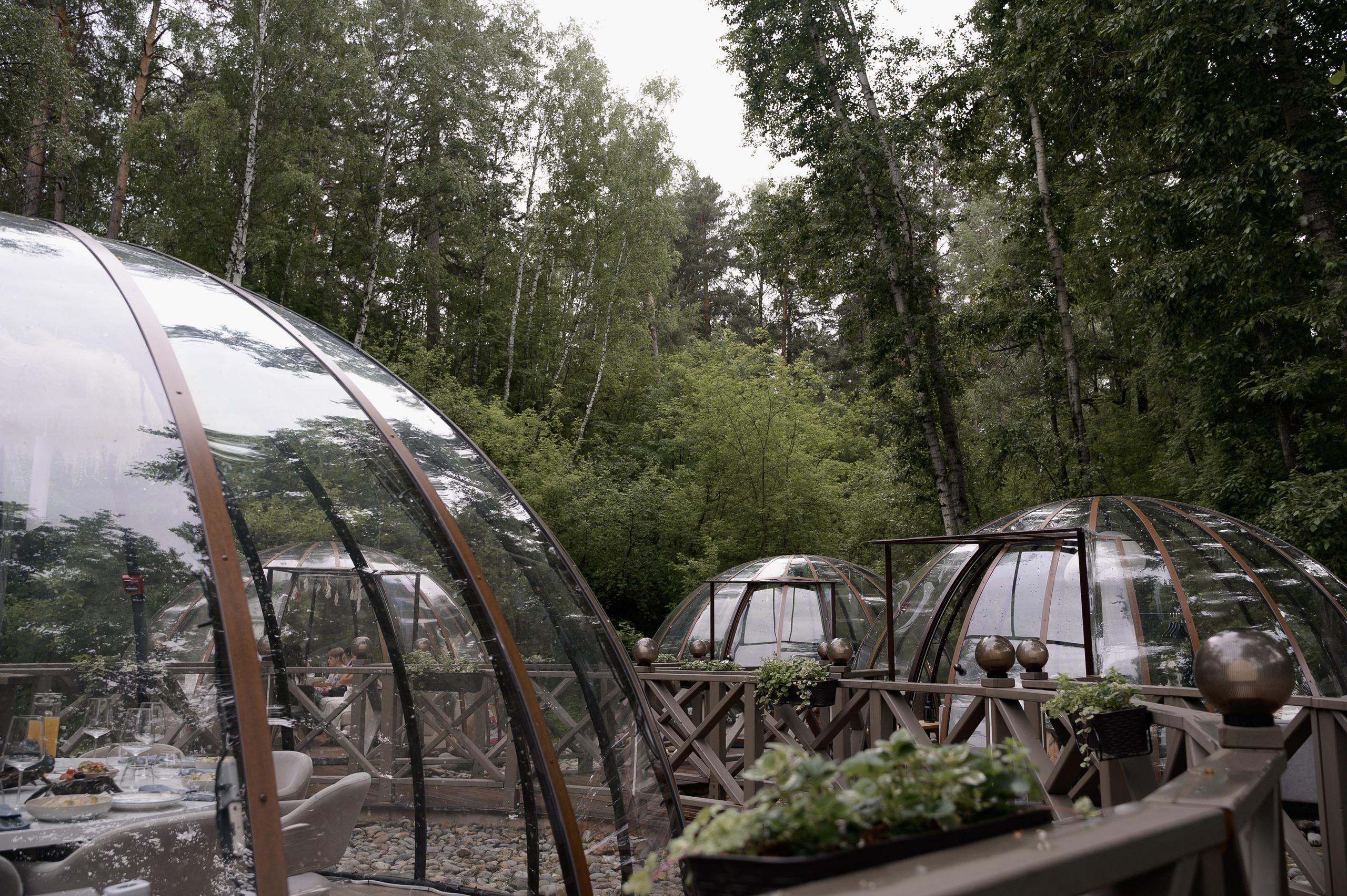 Андрей & Ксения. Свадебный фотограф в Новосибирске Алена Цизман