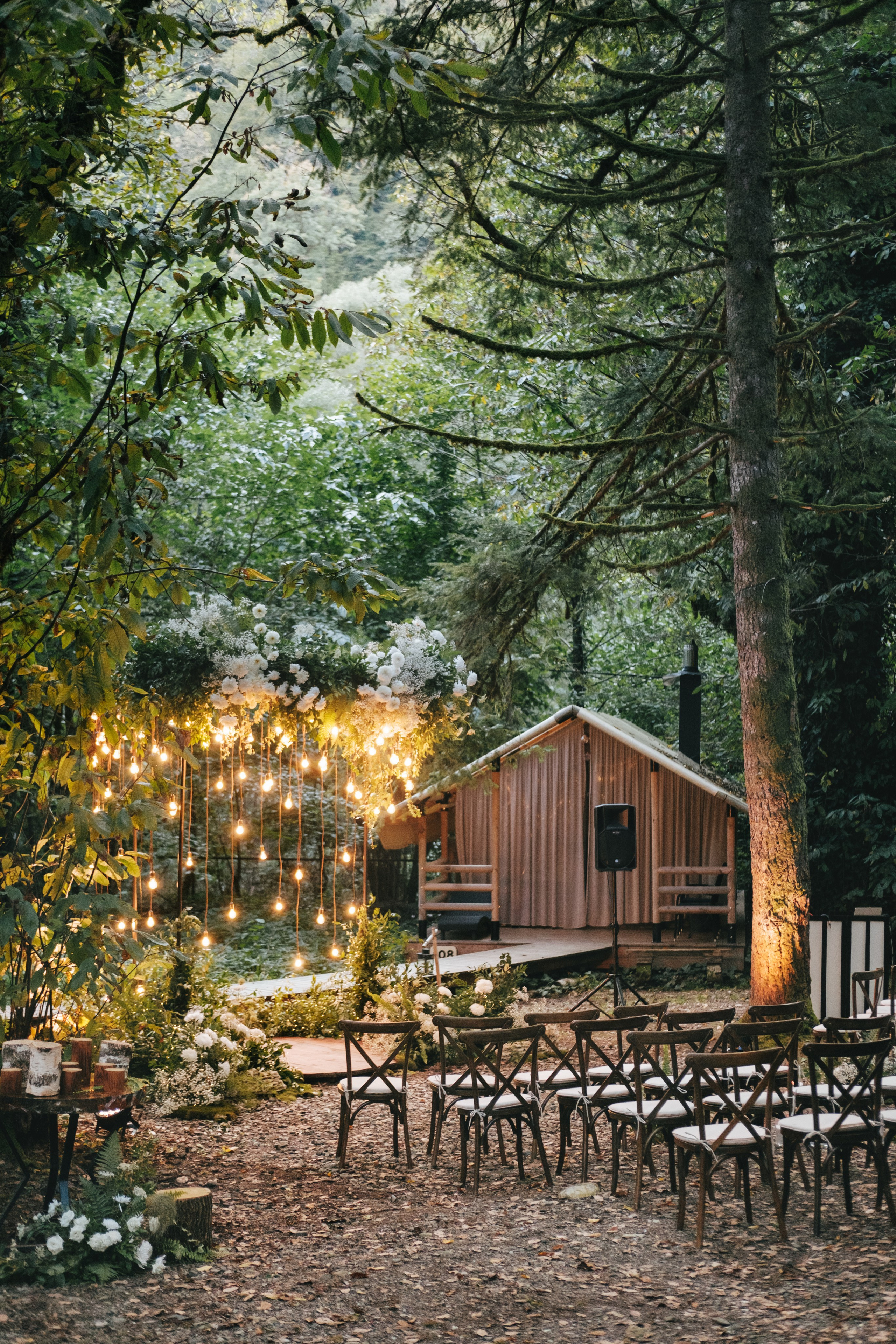 Кот и Дракон. Свадебный Видеограф Фотограф в Сочи