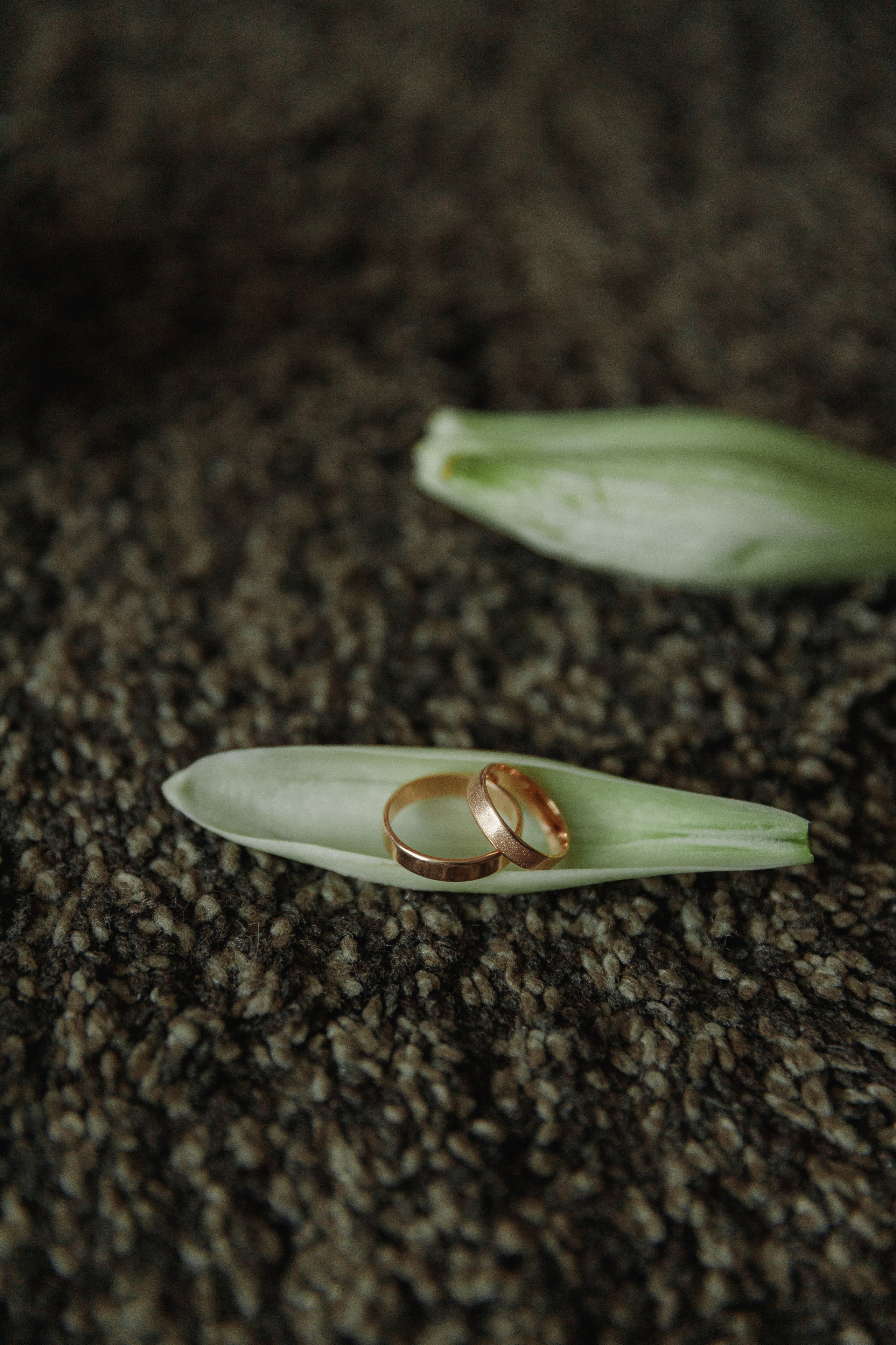 Близость. Свадебный и семейный фотограф Краснова Юлия