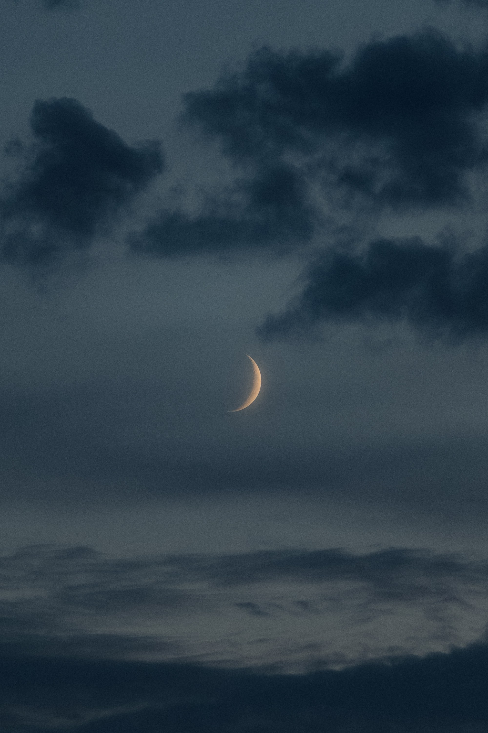 Свадебный фотограф в Москве Александр Рыжков