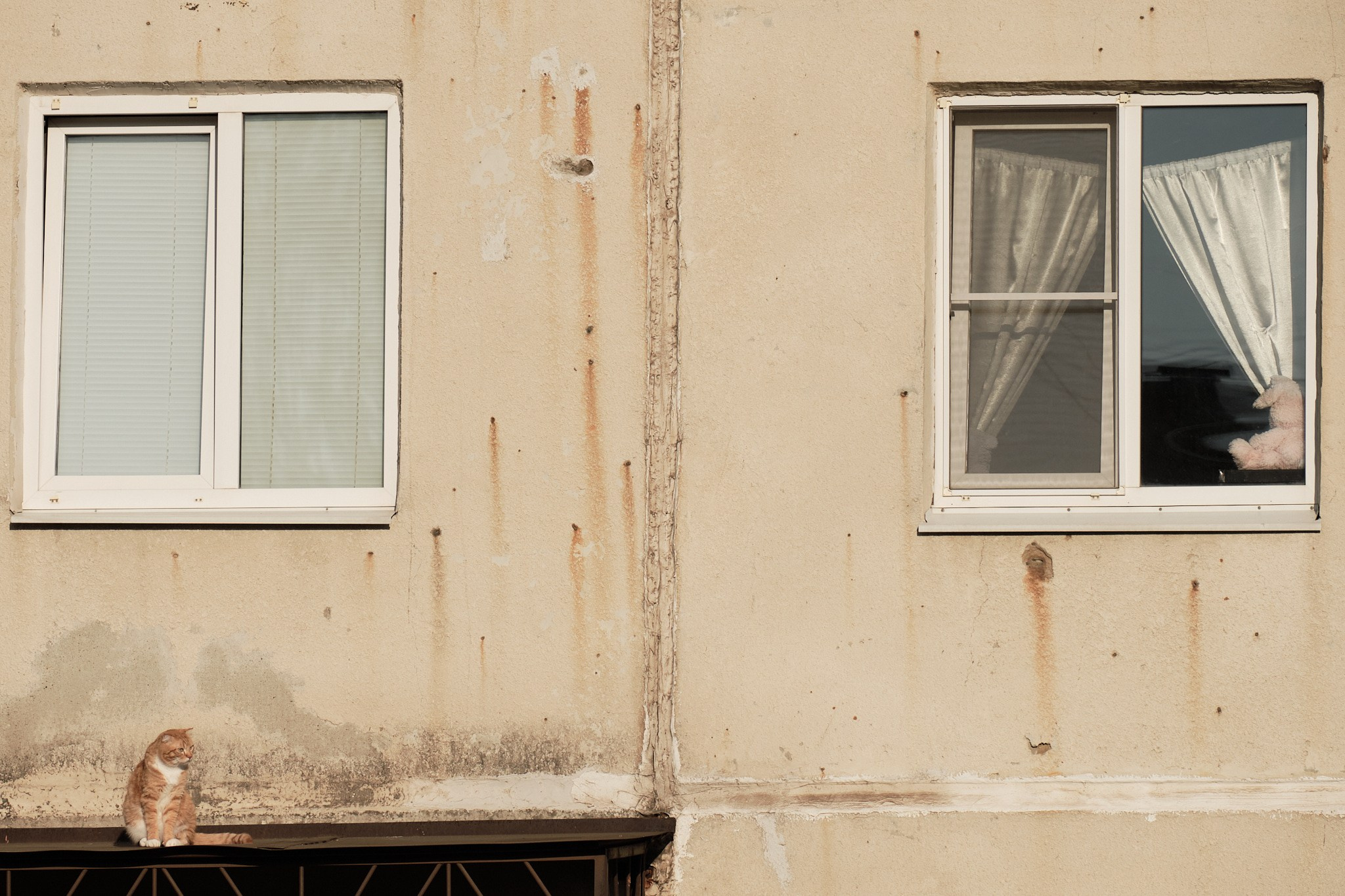 Рыжий кот на крыше балкона многоквартирный старый дом