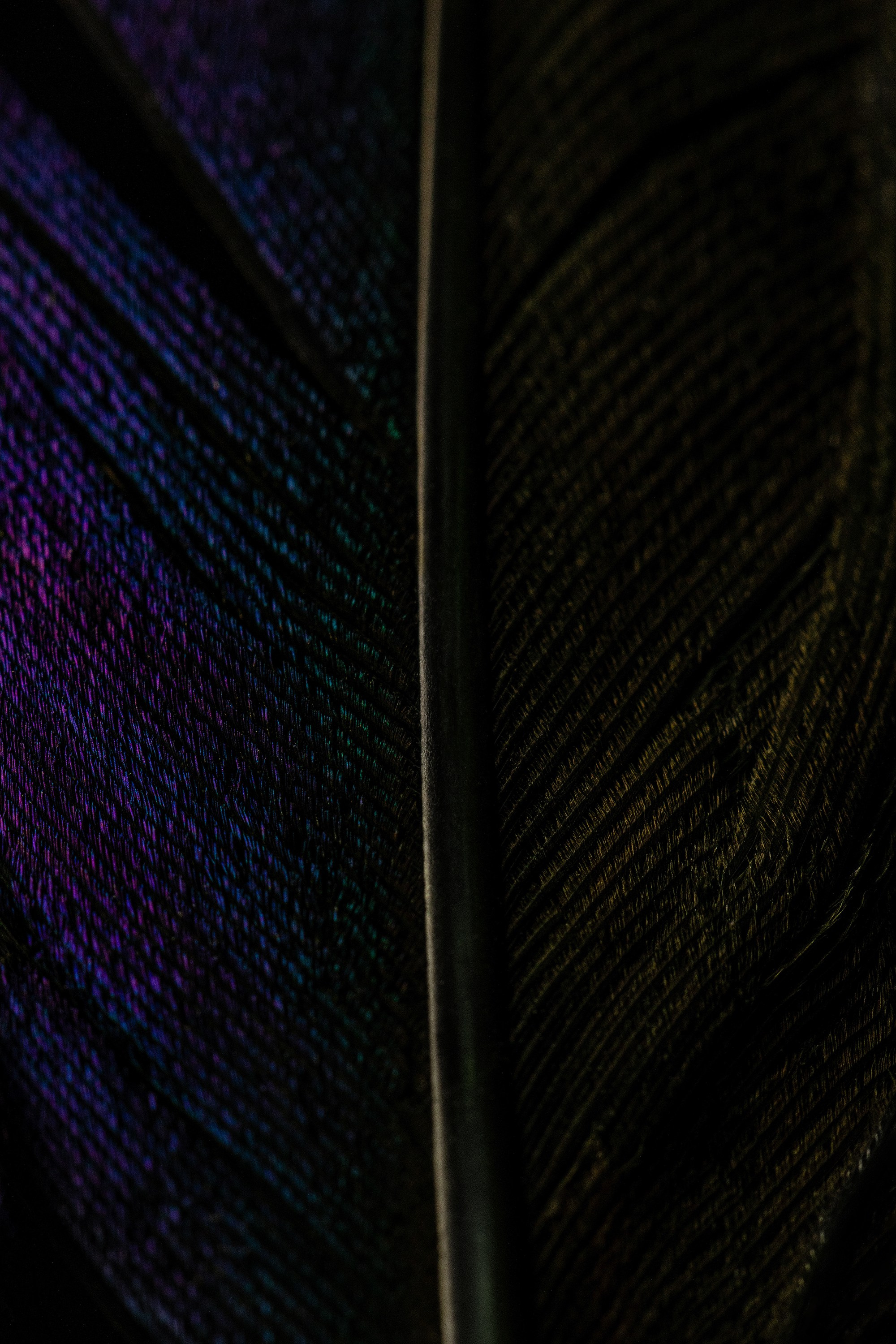 Арт-фото. Михаил Данилов | Фотограф