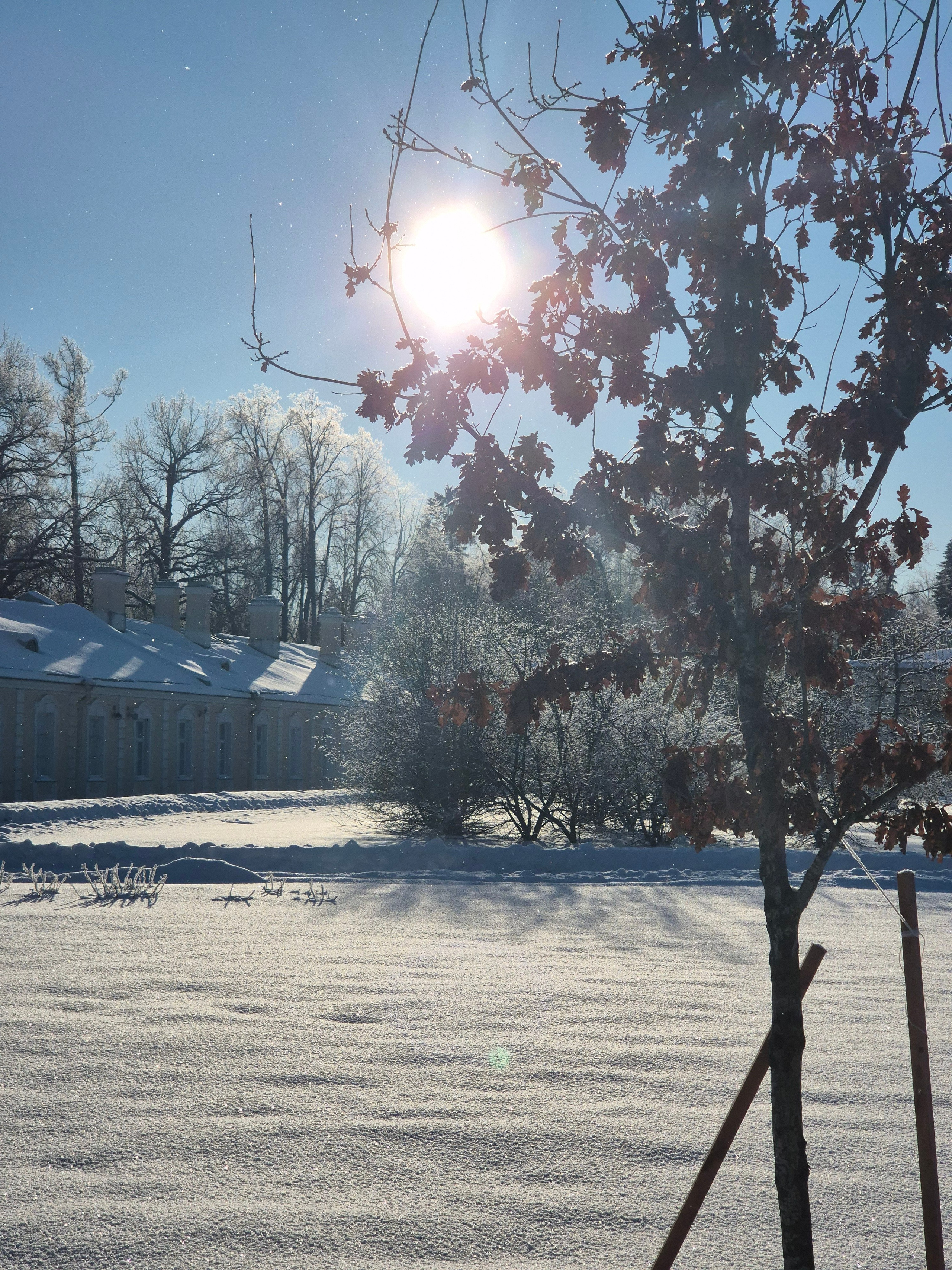 Удивительный дворцово-парковый ансамбль, строившийся фаворитом Петра I - Александром Меншиковым. 