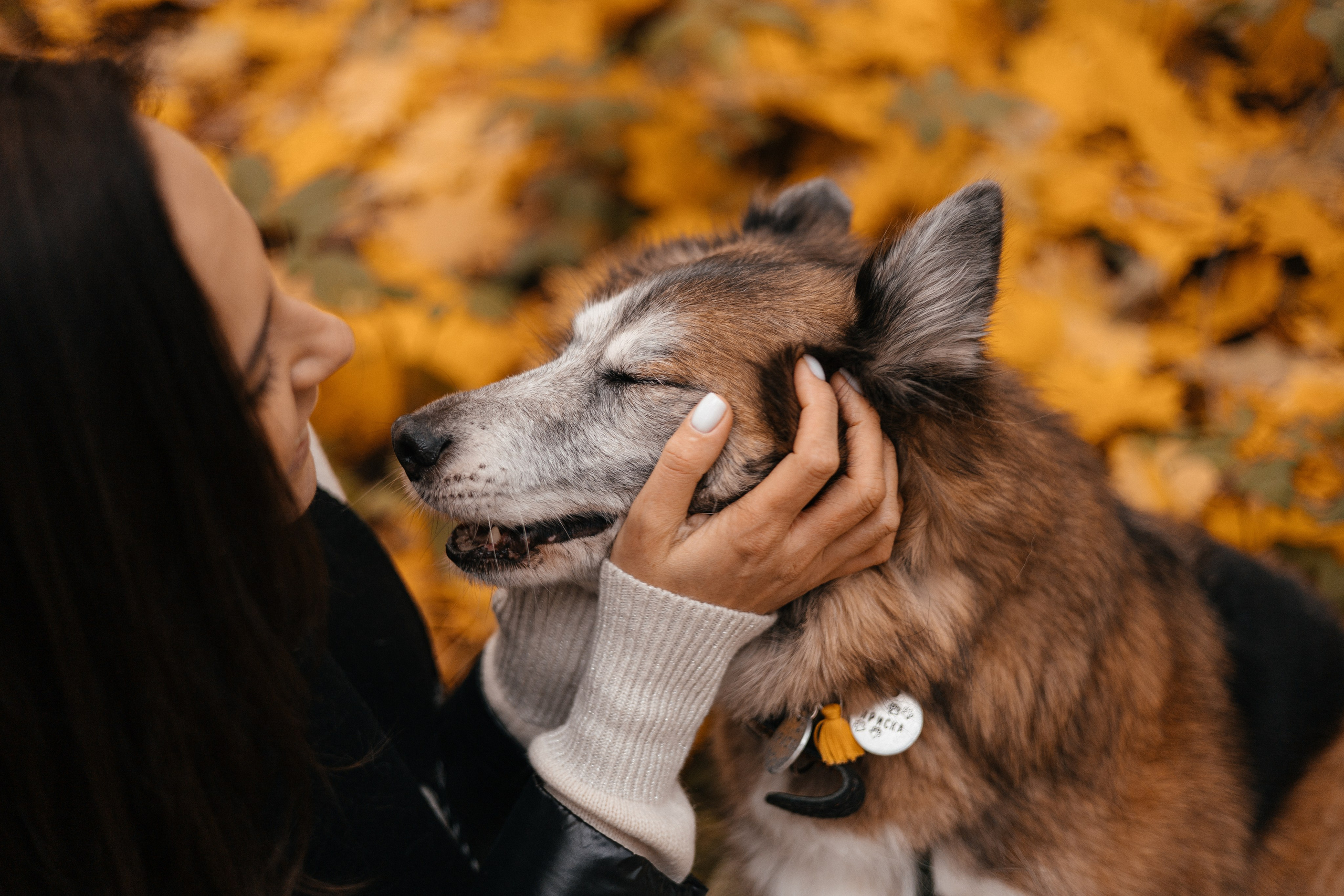 Аня и Ириска. Фотограф Анна Луценко Москва
