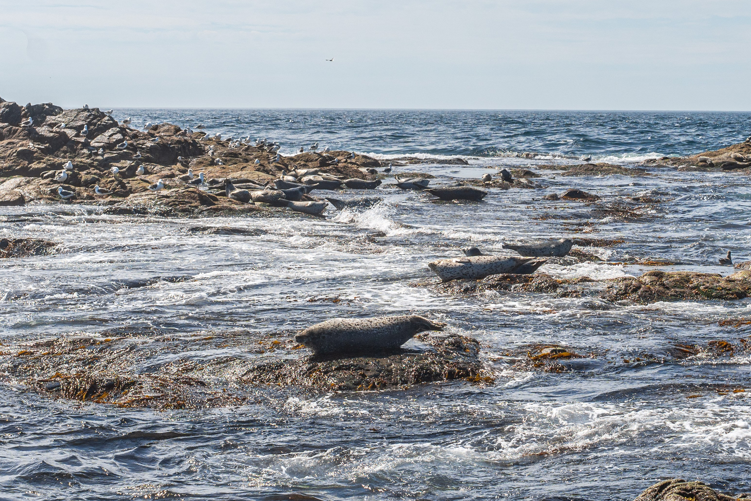 Сахалин 2025. Творческие сьемки
