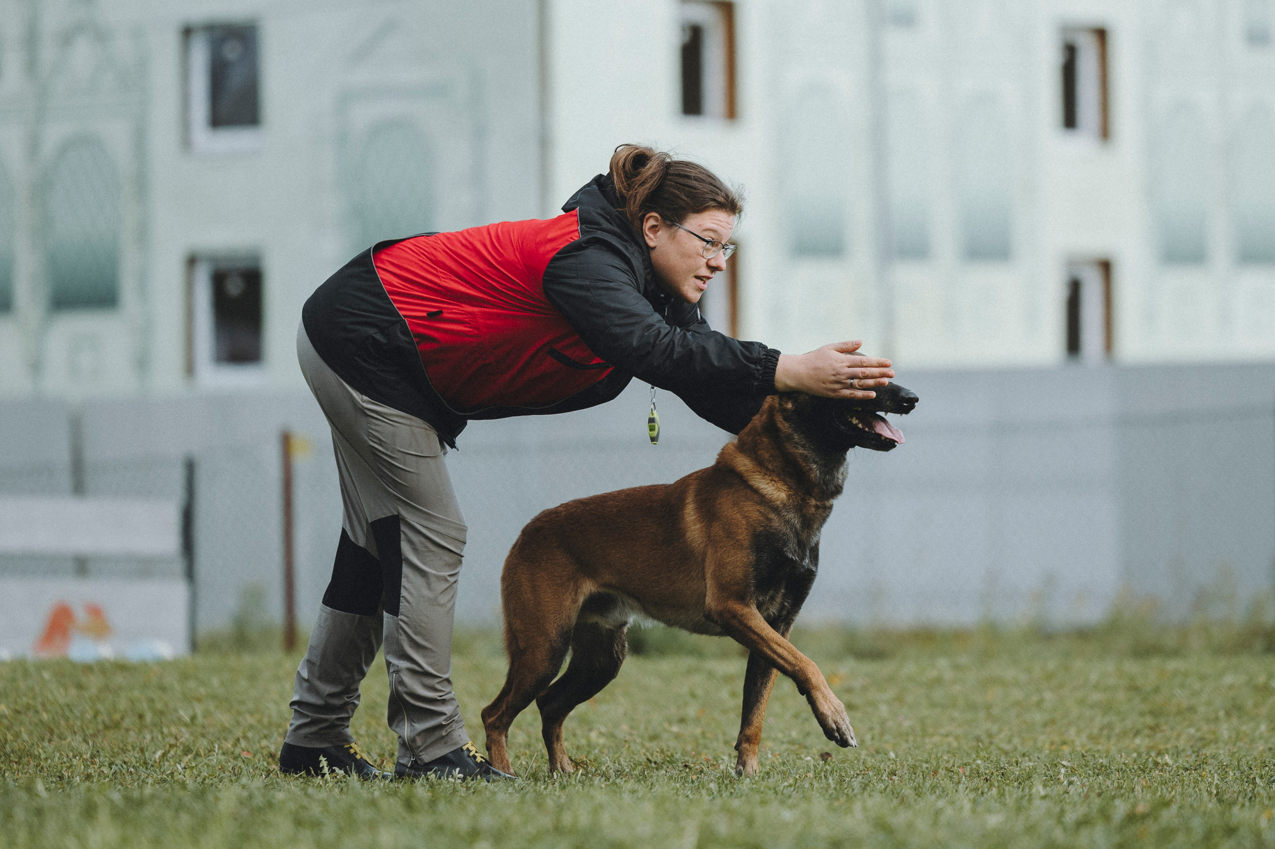 Испытания по мондьорингу г. Пушкин 29.09.2024. Фотограф-анималист Анна Маринич