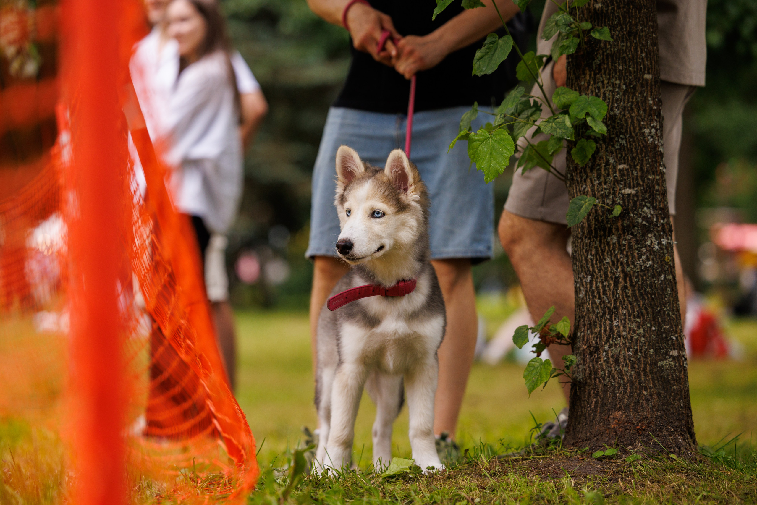 PetShopDays2026. Фотограф Александр Заломаев