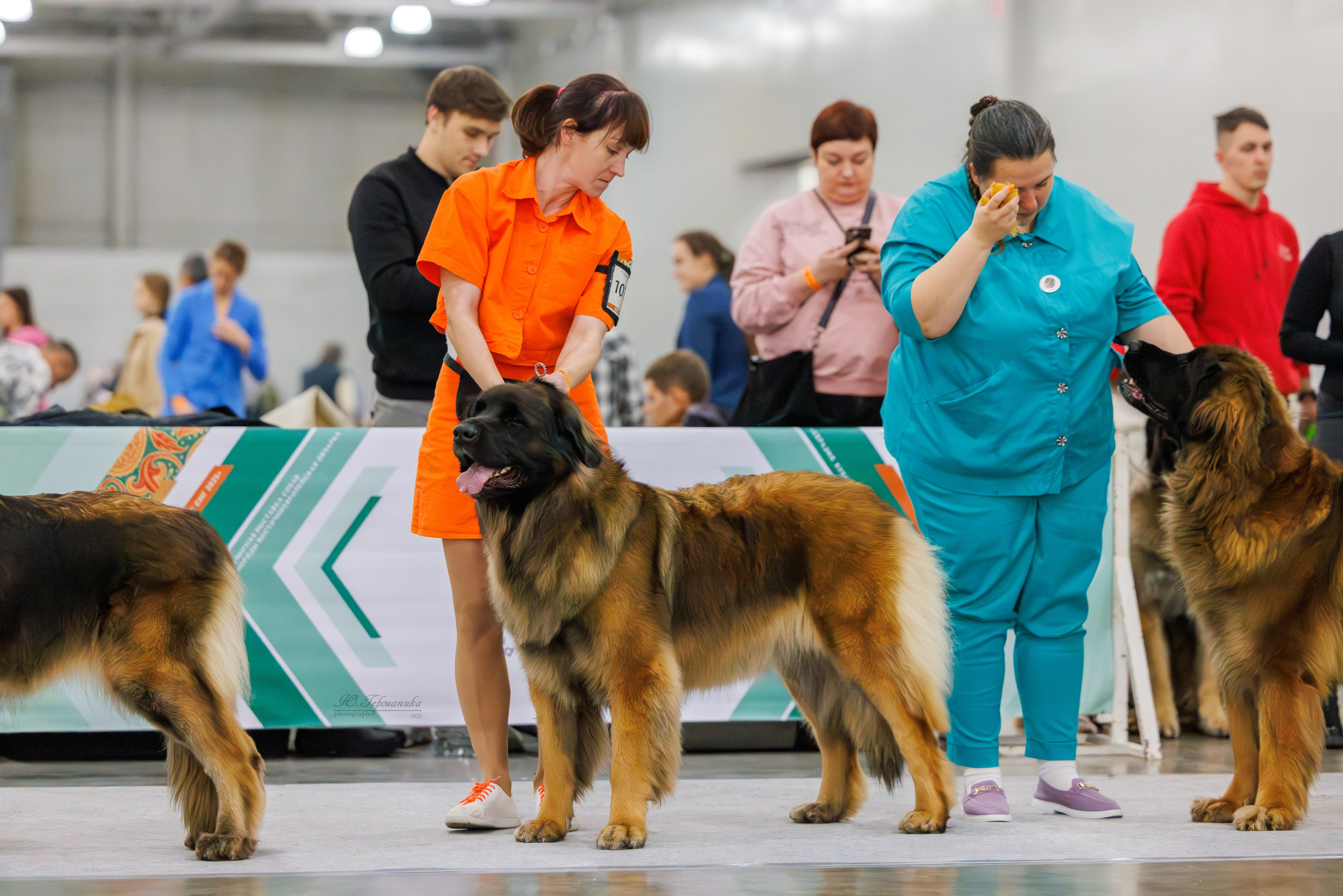 Евразия 15-16.11.2025. Фотограф-анималист Юлия Германика