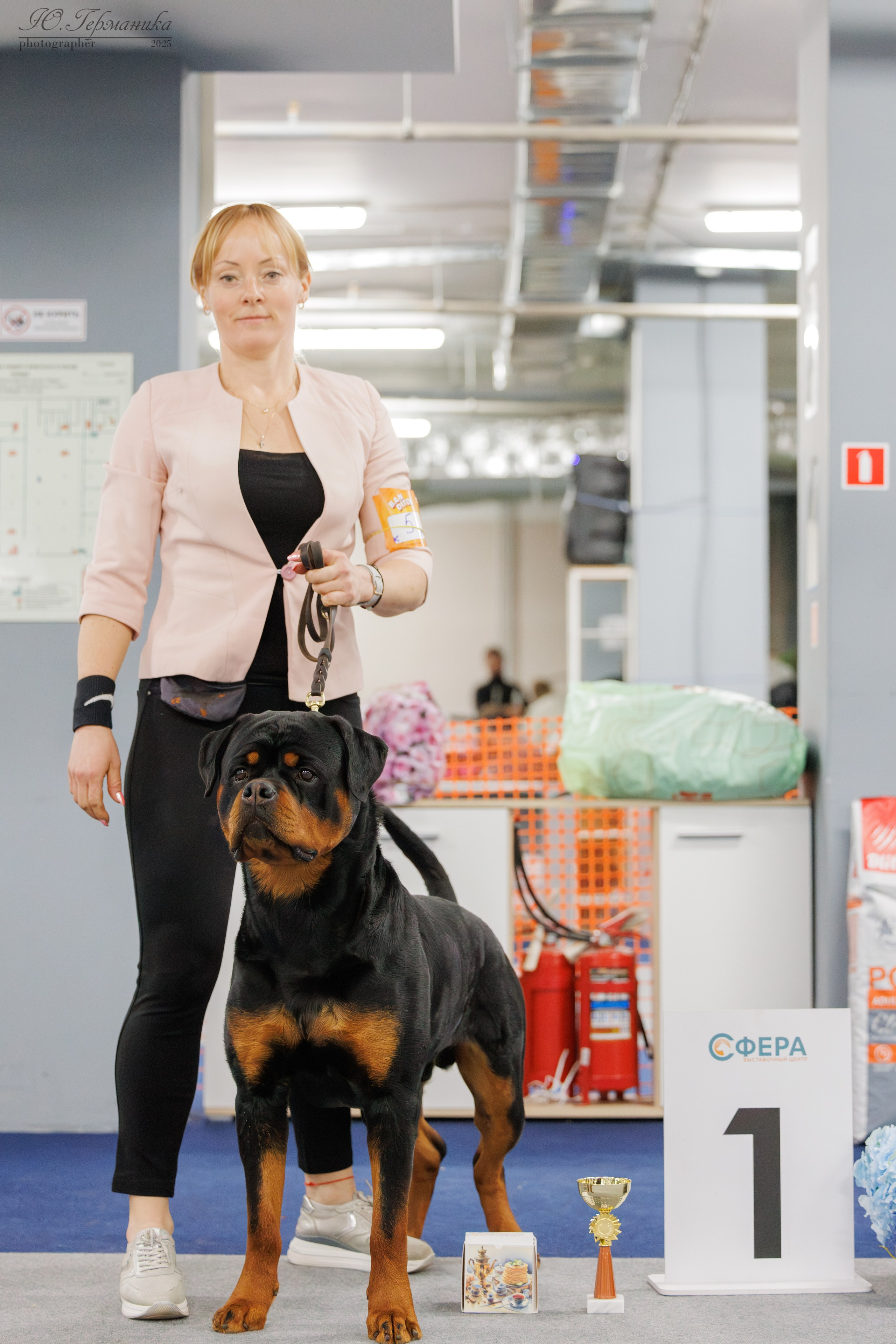 Сфера и Крокус 8,9,16 и 30.03.2025. Фотограф-анималист Юлия Германика