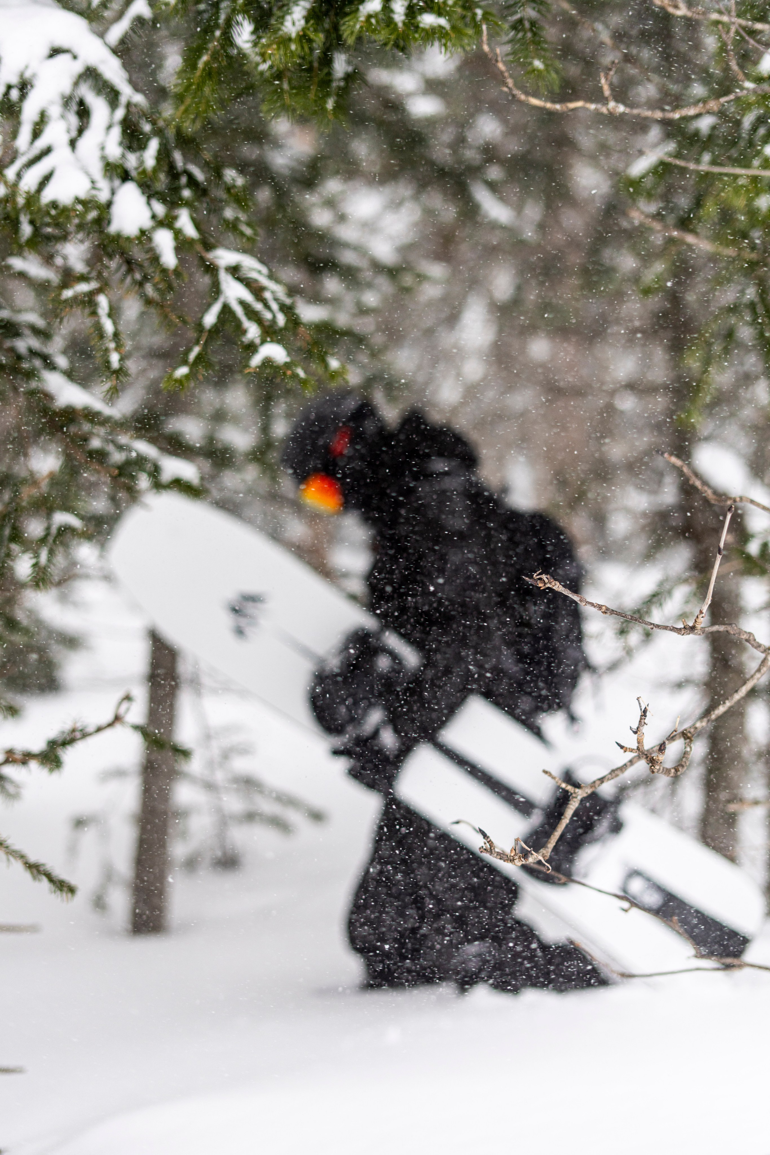 Тур. Анастасия Паршукова — фотограф Шерегеш Новосибирск