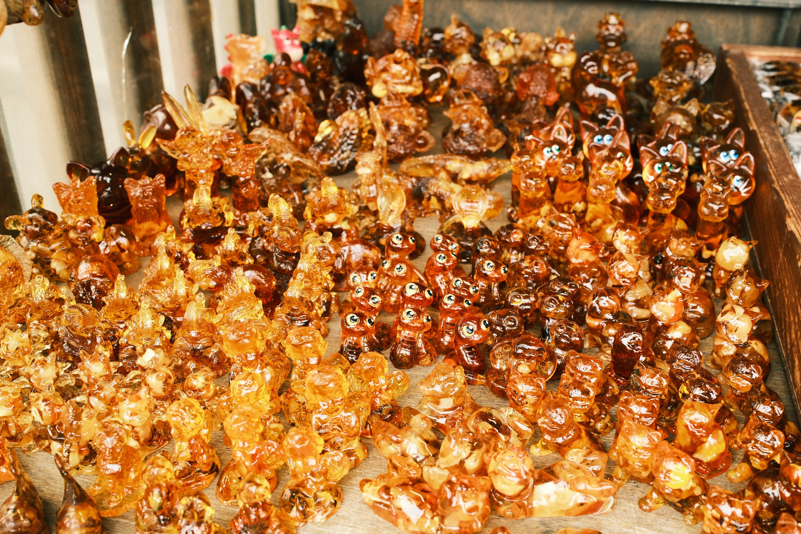 Зеленоградск. Калининградская область. Алексей Торопов фотограф