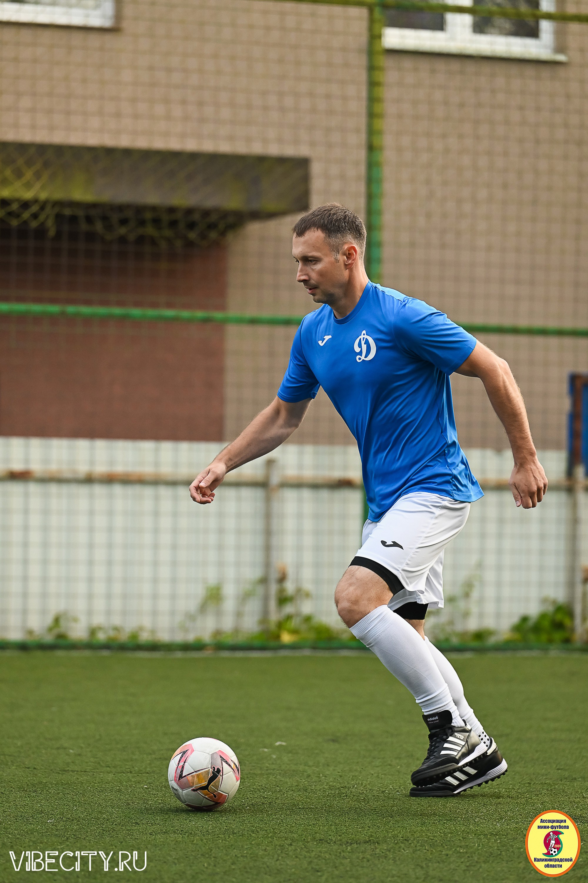 ИГРЫ ПЛЕЙ-ОФФ ПЕРВОГО ДИВИЗИОНА МИНИ-ФУТБОЛЬНОЙ ЛИГИ. VIBECITY.RU Вайб Сити Ру Фоторепортажи Фотоотчеты Калининград