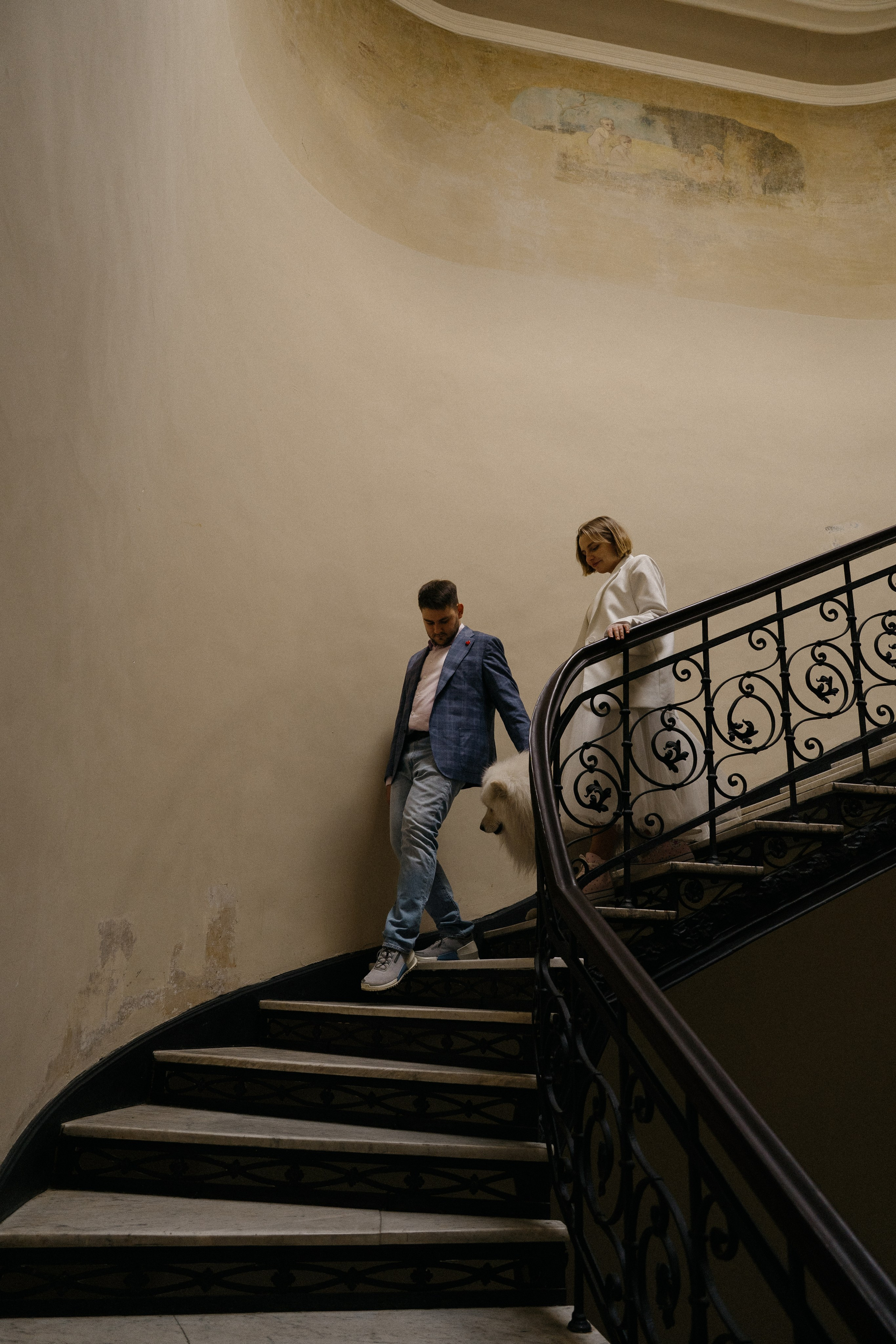 Пушистый свидетель