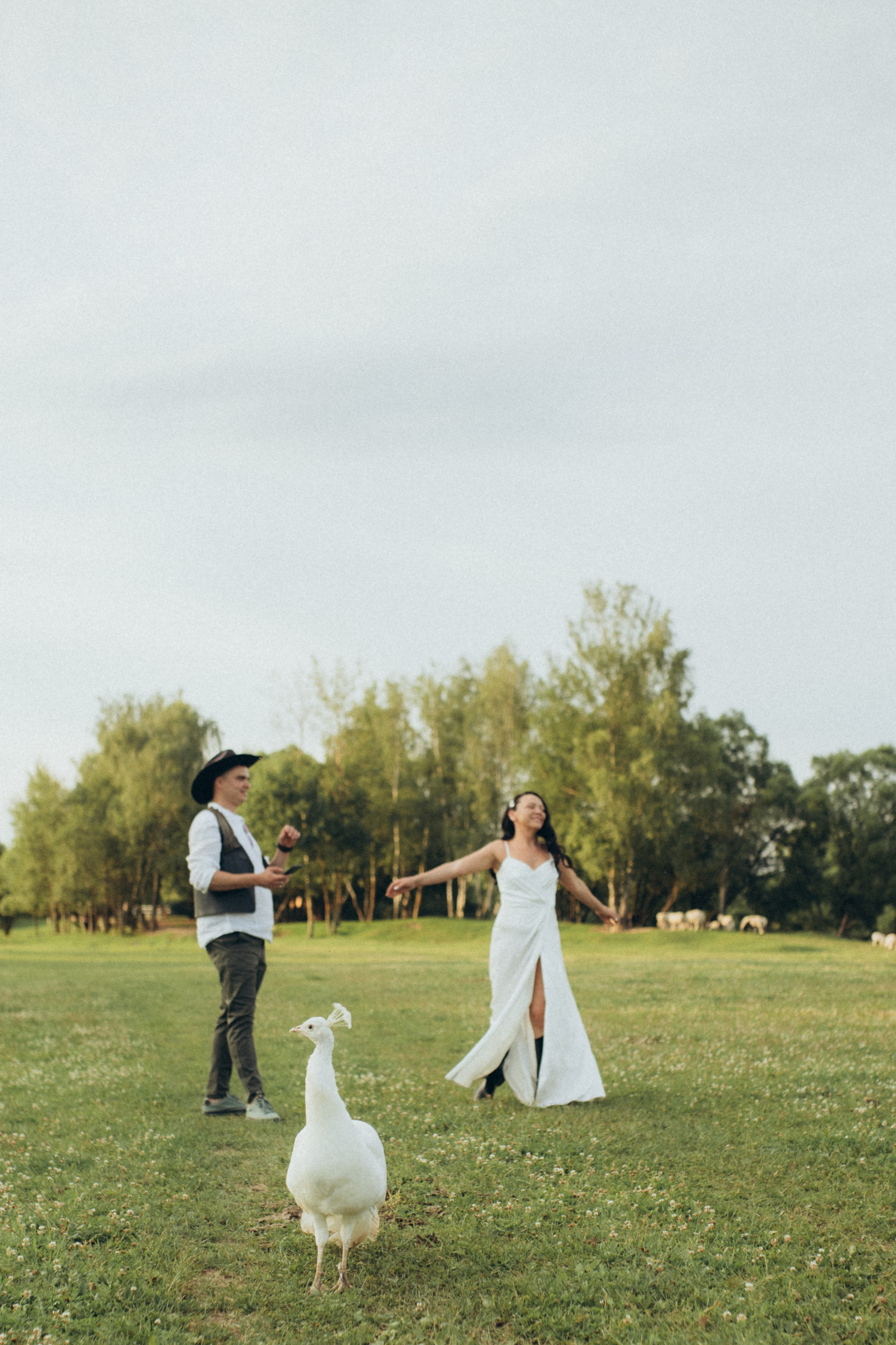 Свадебные сьемки. Семейный и свадебный фотограф Ясна Матросова