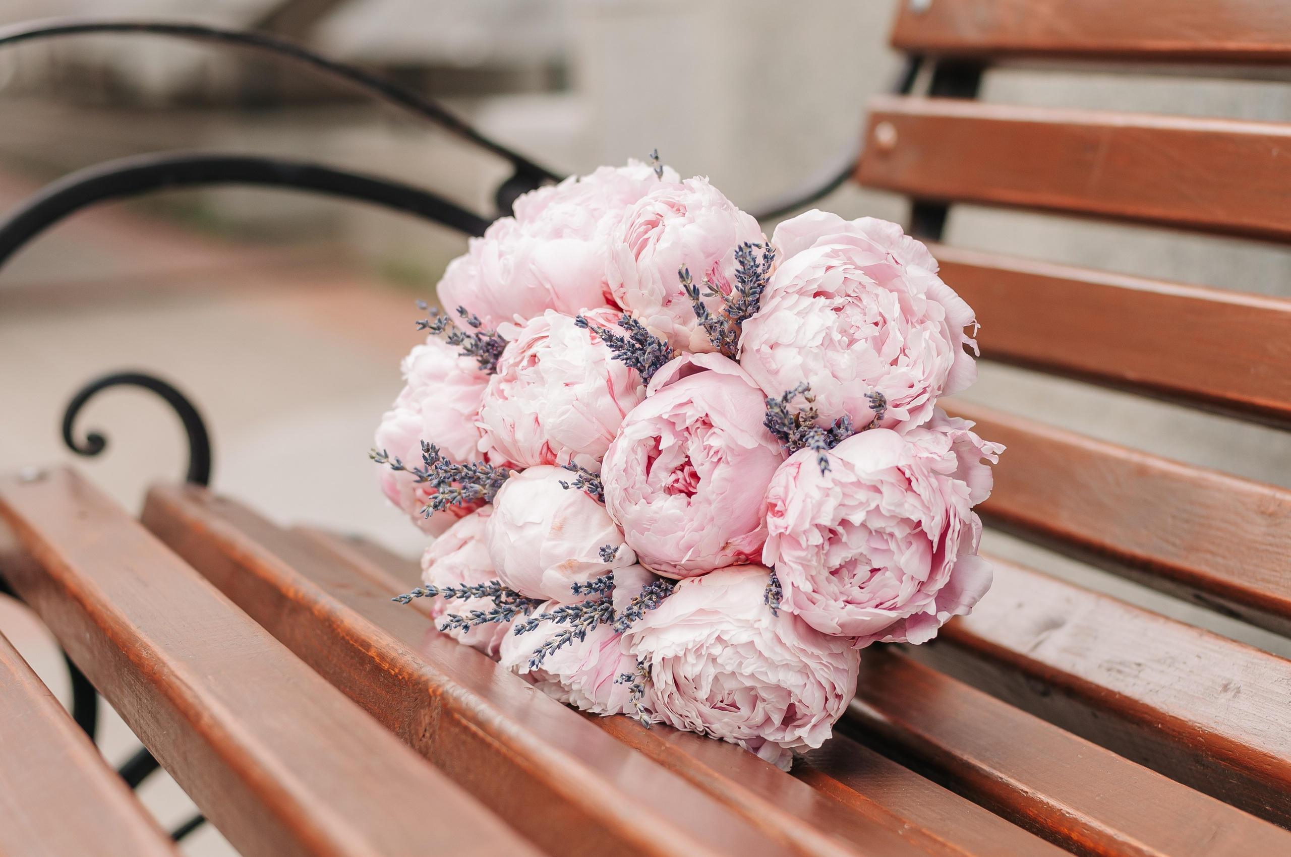 Анастасия & Андрей. Свадебный и семейный фотограф г. Ярославль Савинская Анастасия