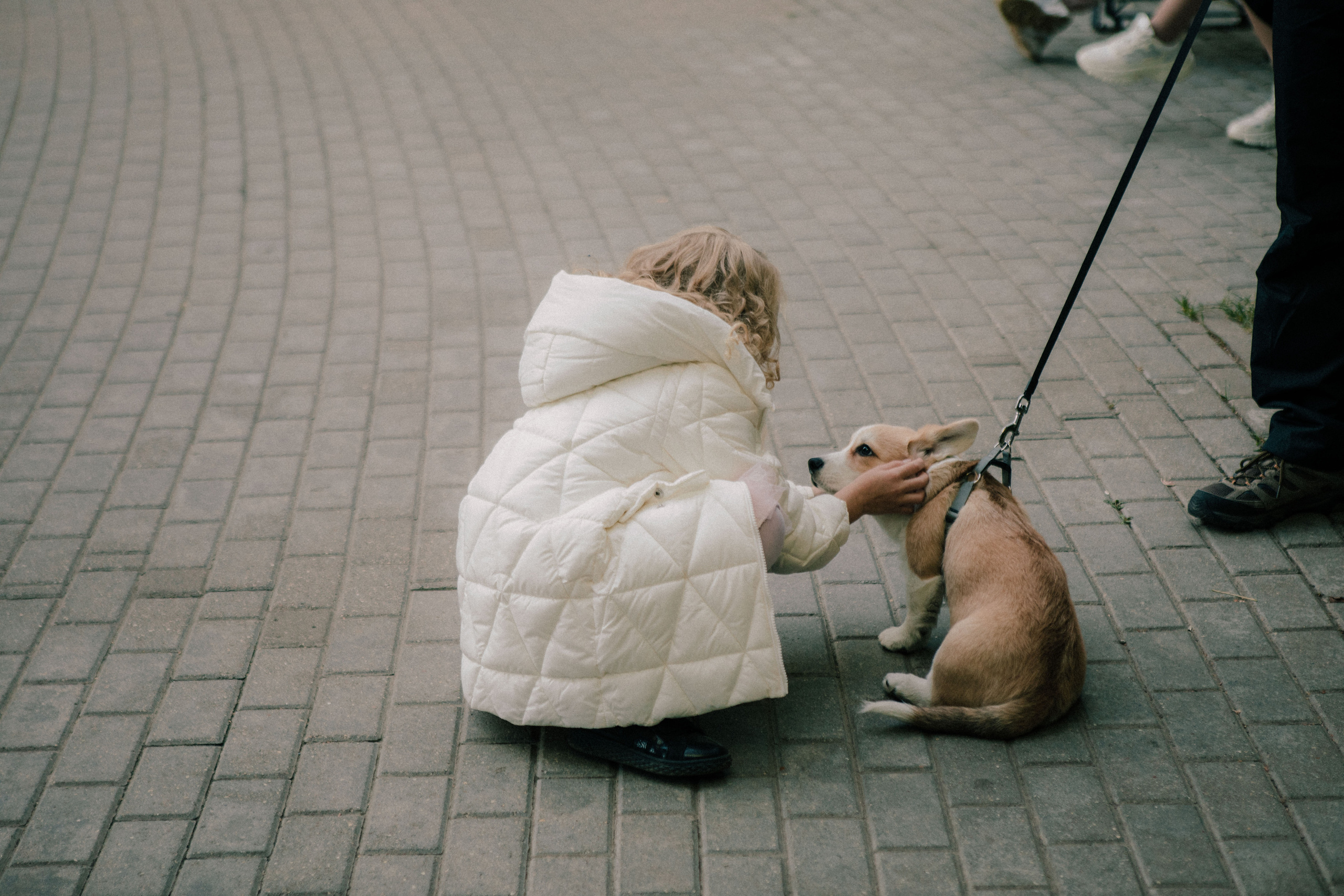 Василиса и Стас. Роспись на колесе обозрения. Свадебный и портретный фотограф в Москве Анастасия Масюк