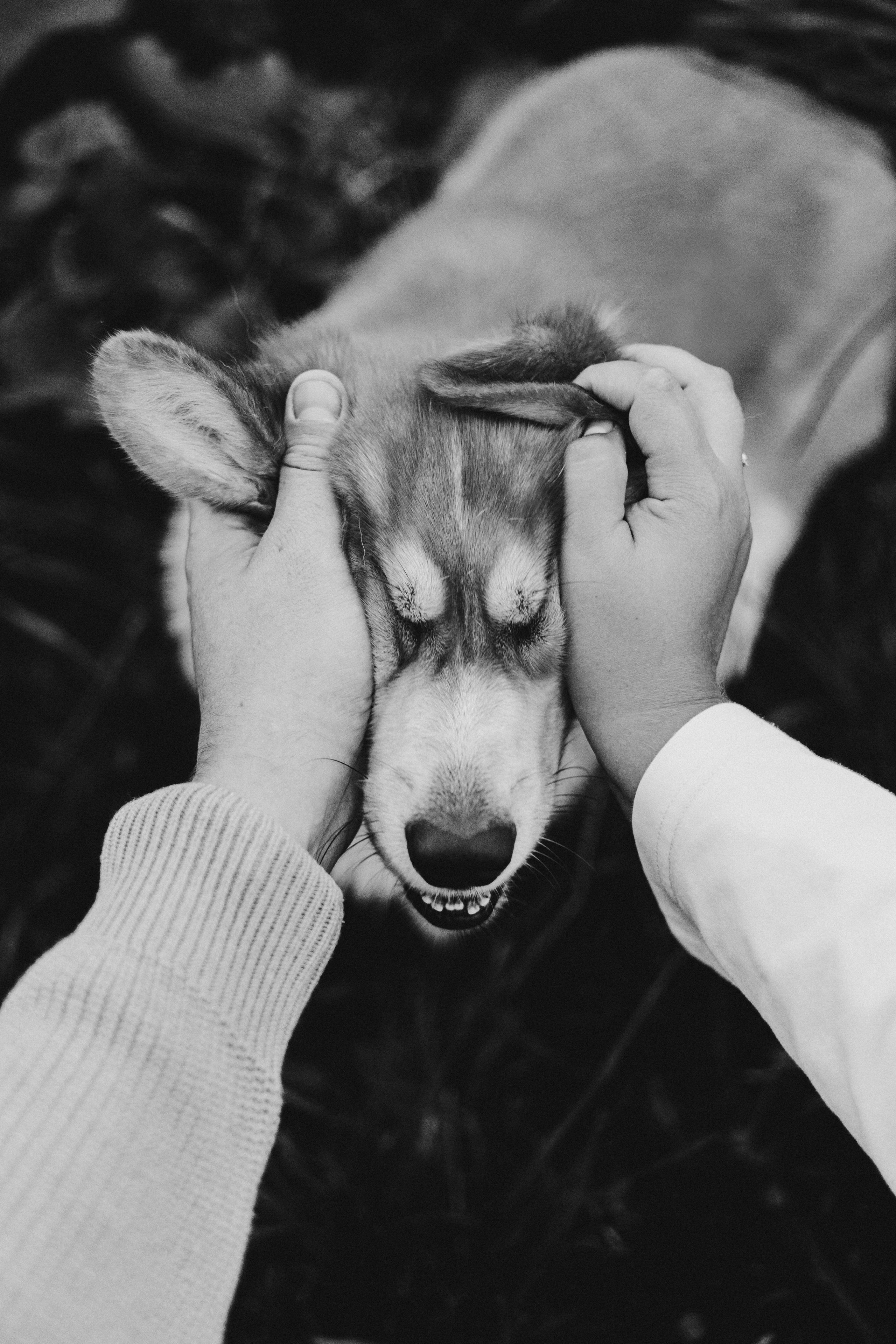 Заметили радугу?. Фотограф Настя Леонова