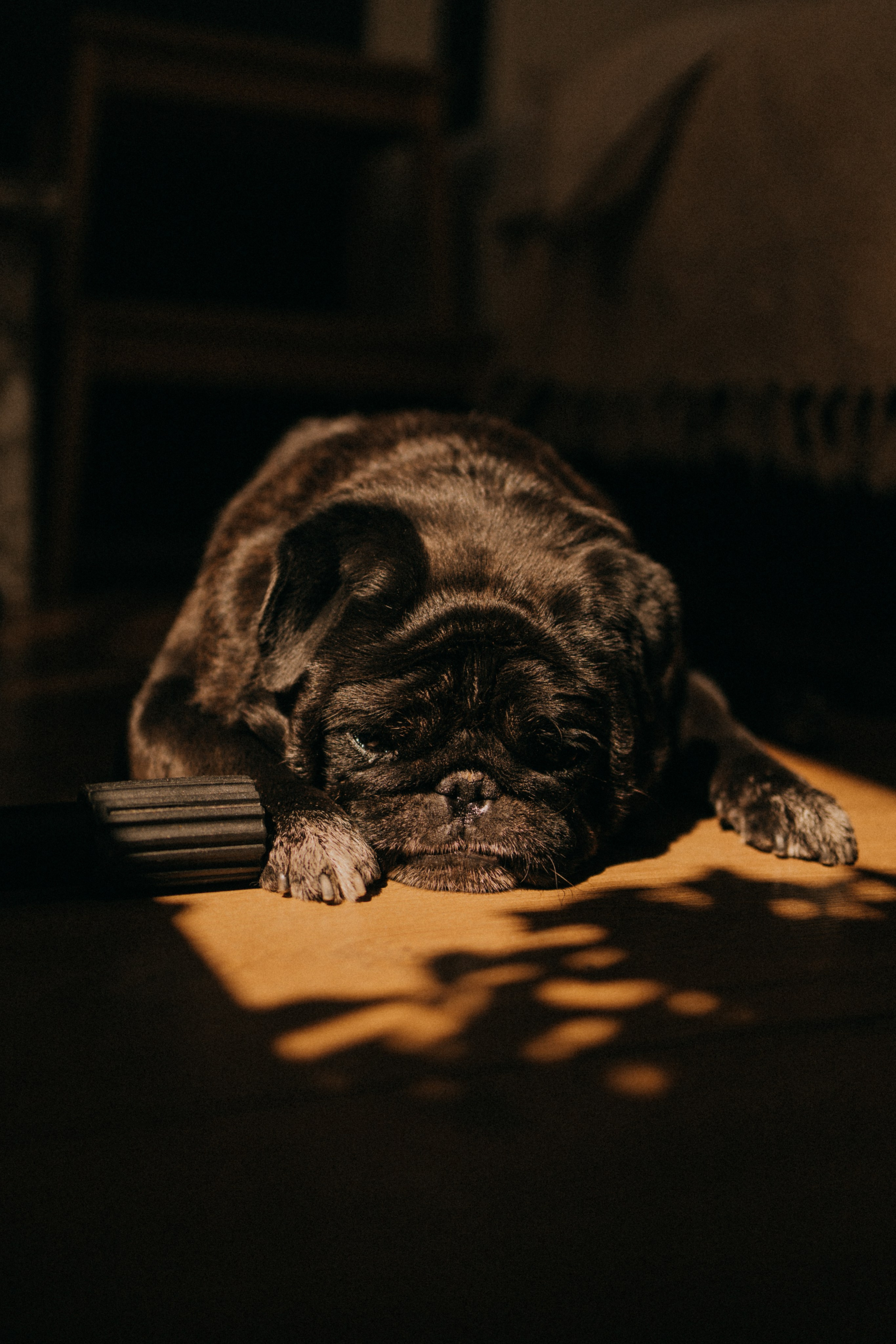 День рождения дома. Фотограф Настя Леонова