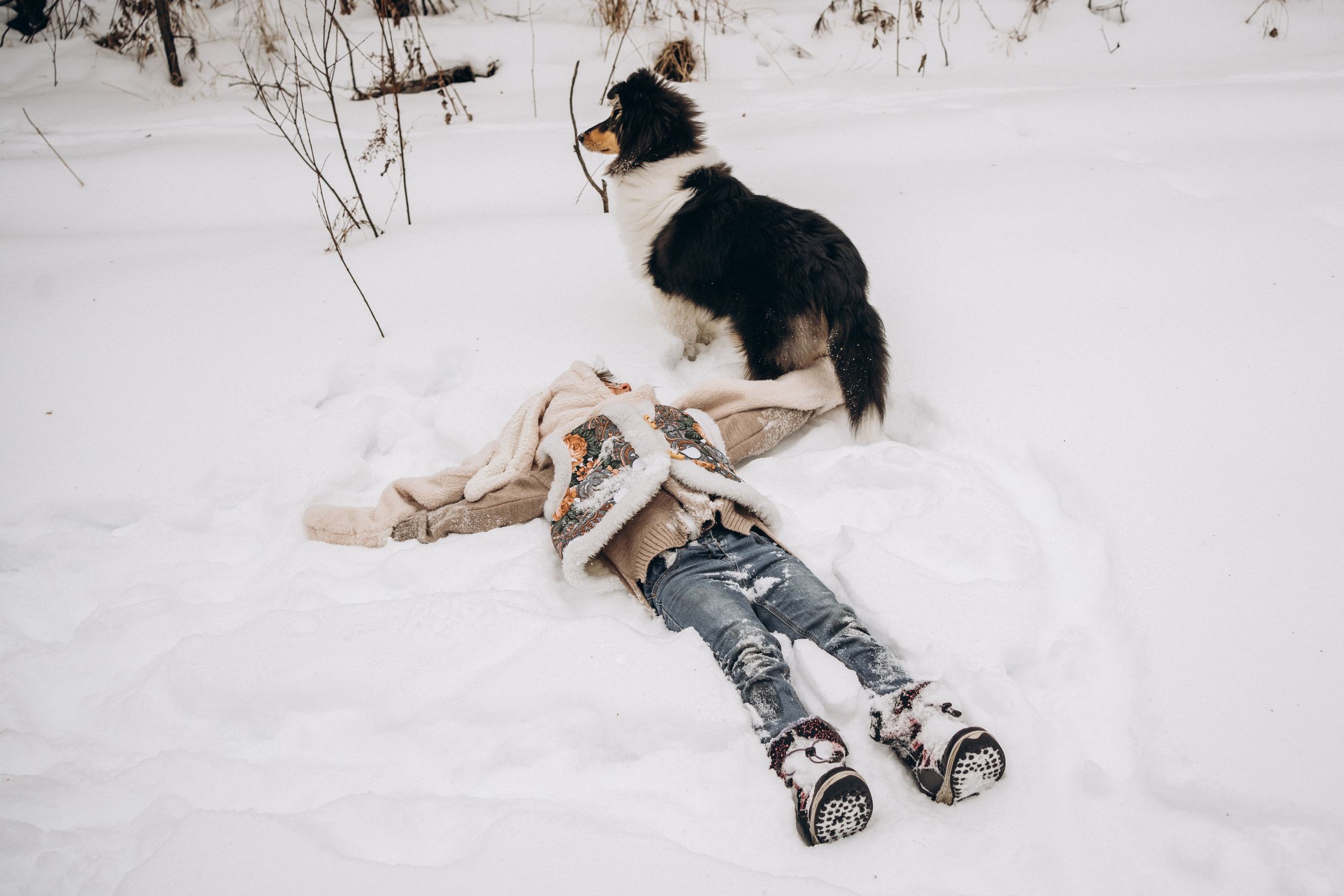 Альма. Фотограф-анималист Анастасия Большакова