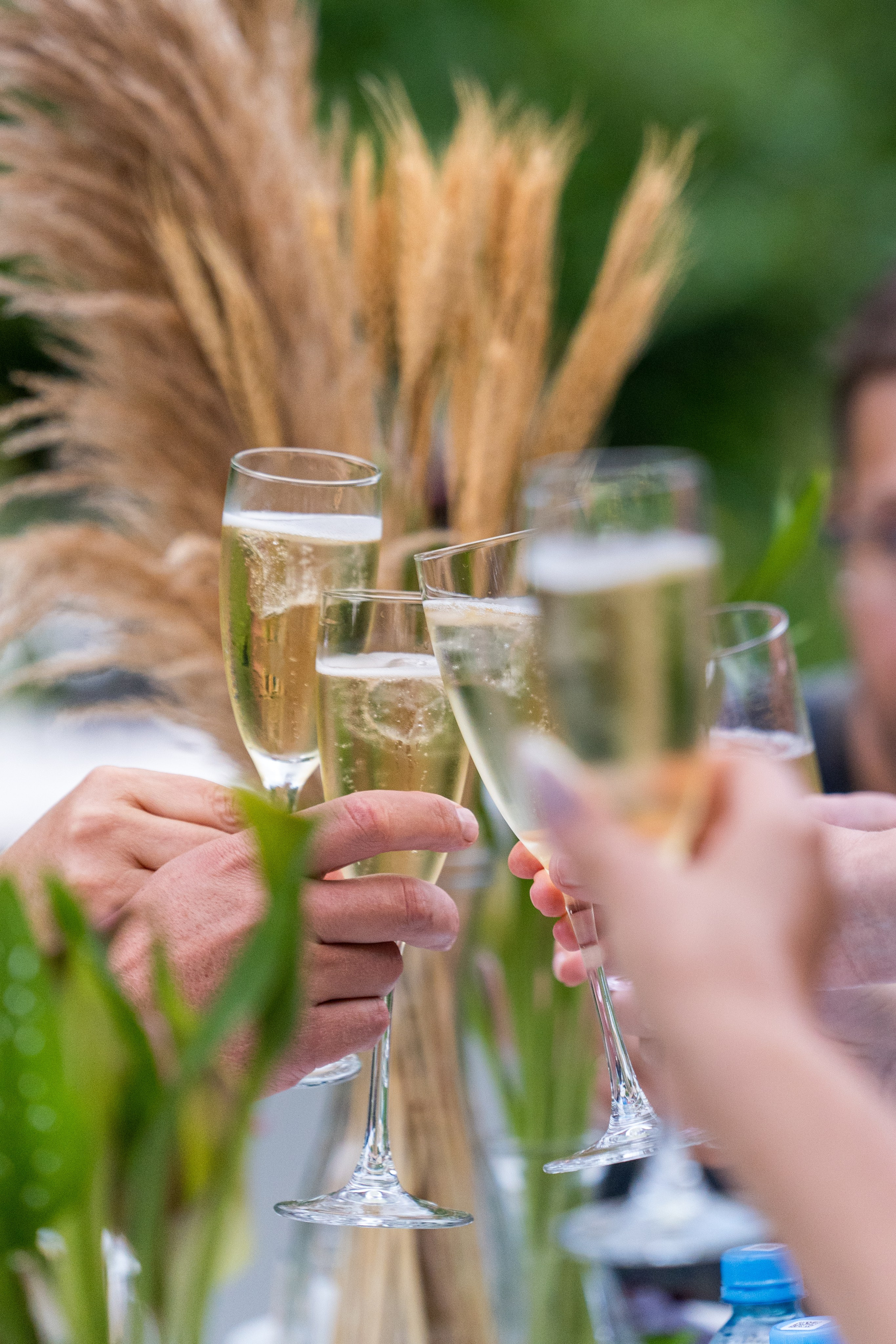 MICE мероприятие для компании «Доставка морем»: хайкинг к Ачипсинским водопадам. Репортажный фотограф в Красной Поляне и Сочи Павлюченко Екатерина