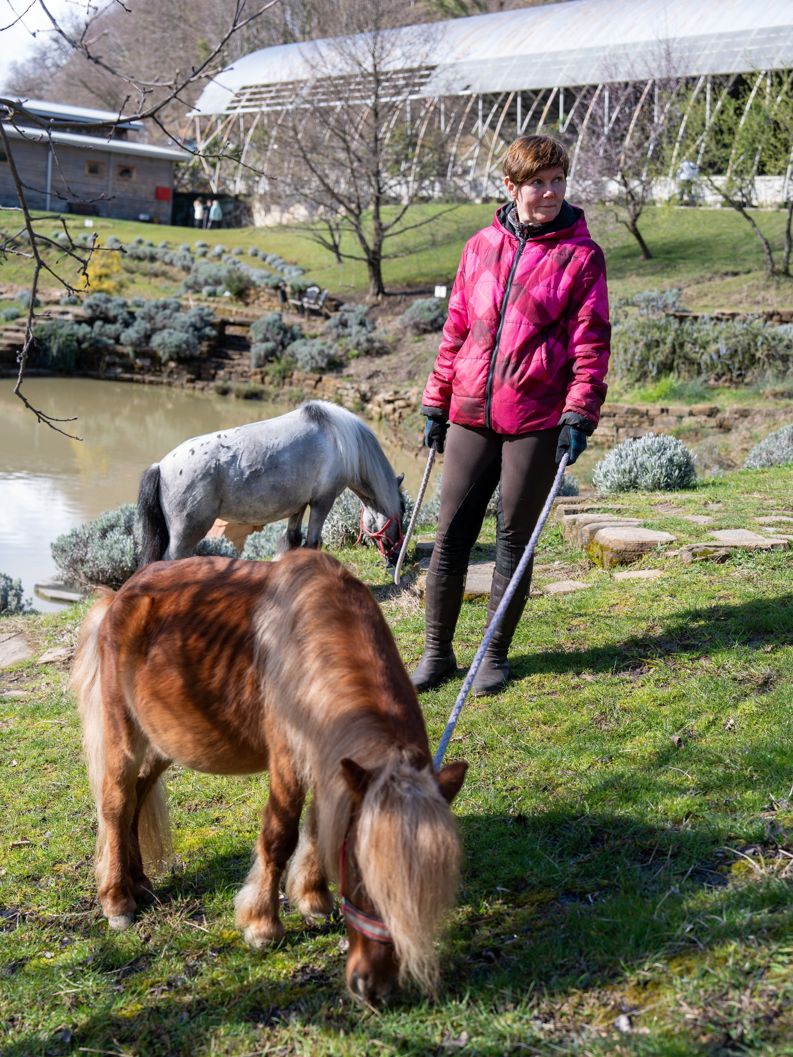 MICE мероприятие на ферме Экзархо. Репортажный фотограф в Красной Поляне и Сочи Павлюченко Екатерина