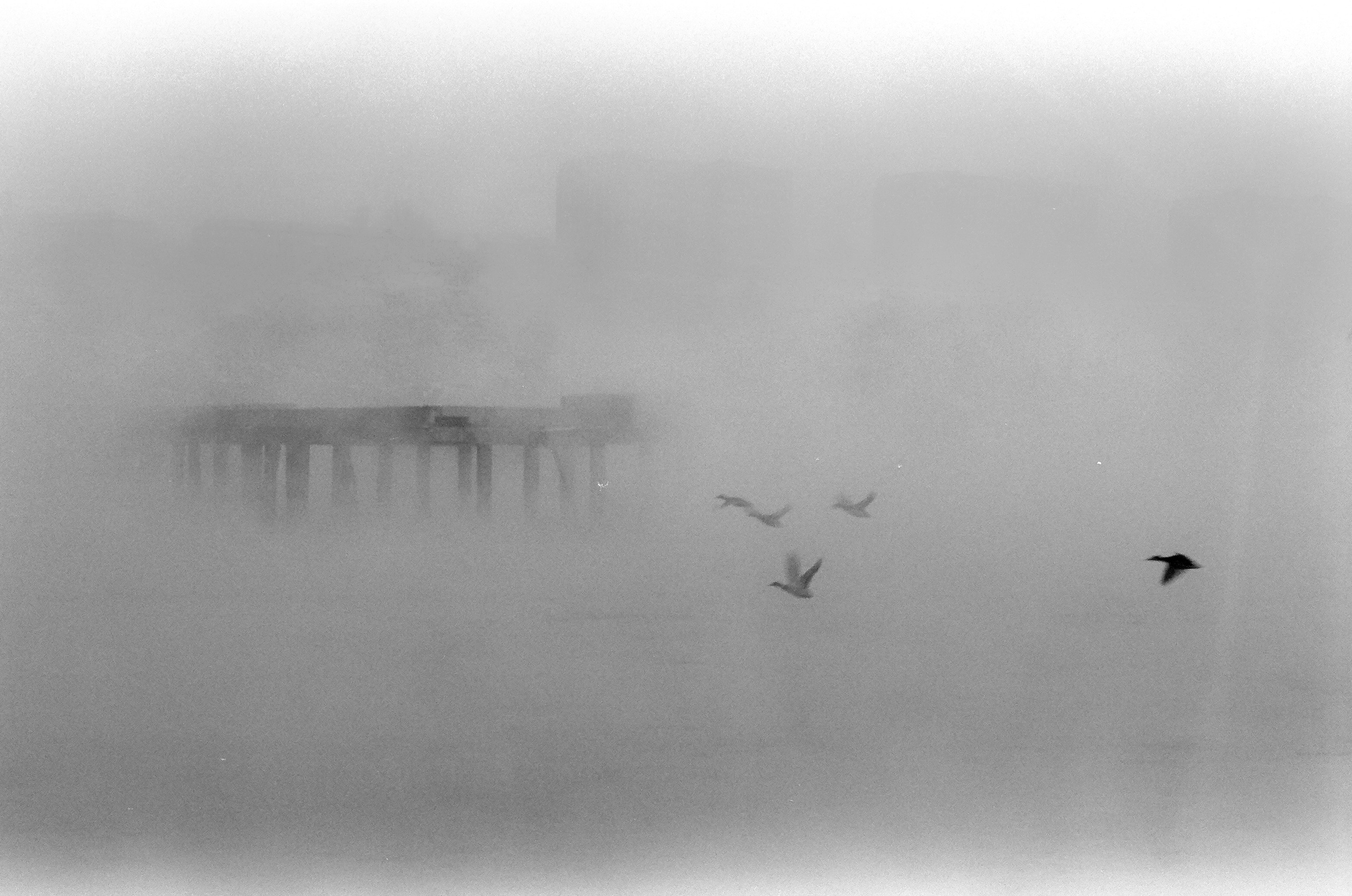 CONCEPTUAL. Фотограф Красноярск — Москва Сергей Смелян