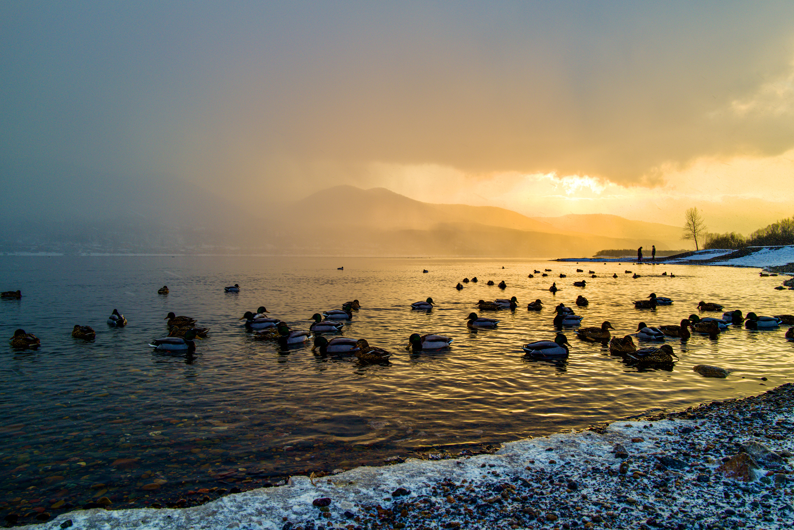 DOCUMENTARIES. Фотограф Красноярск — Москва Сергей Смелян