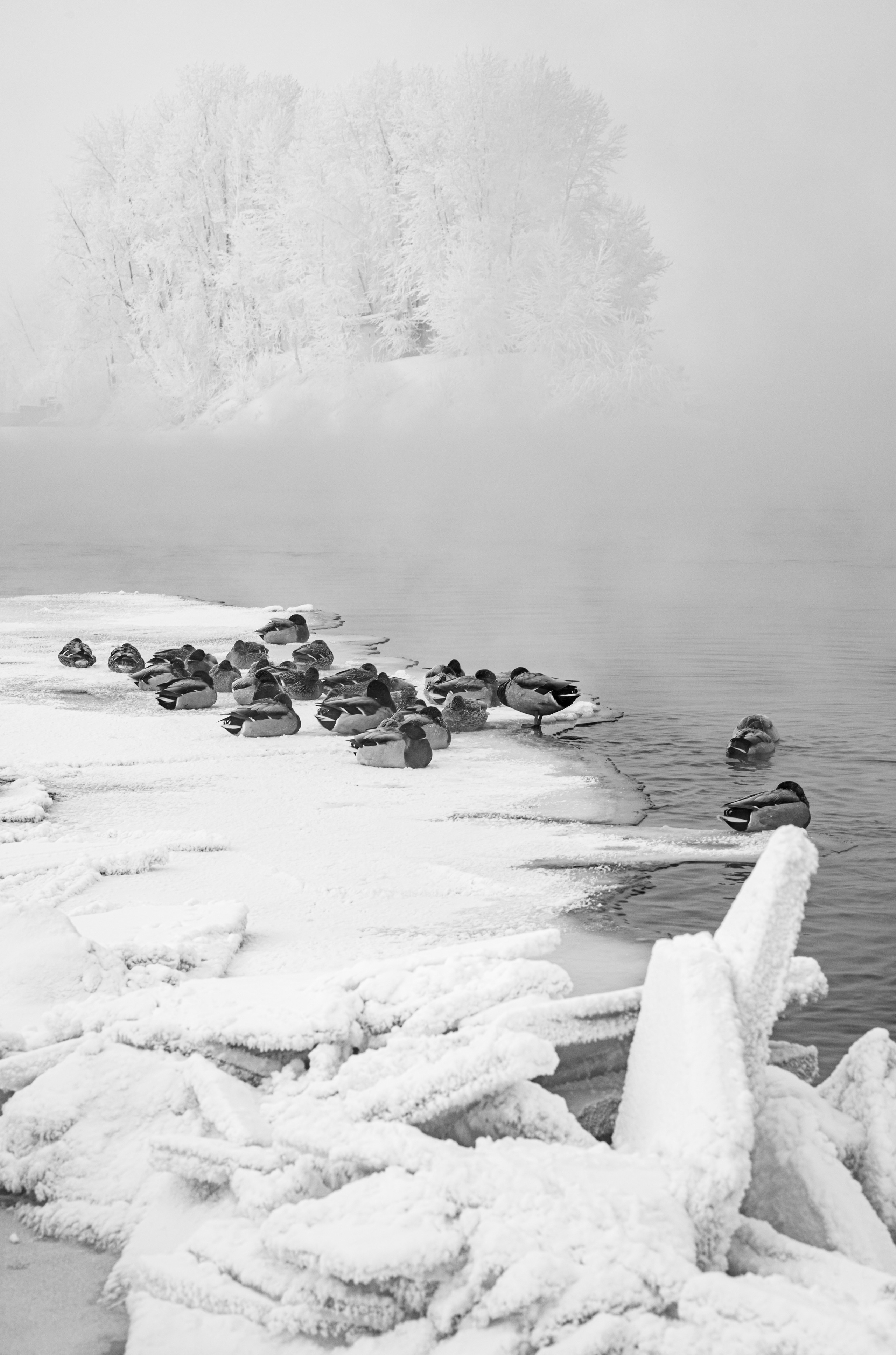 DOCUMENTARIES. Фотограф Красноярск — Москва Сергей Смелян