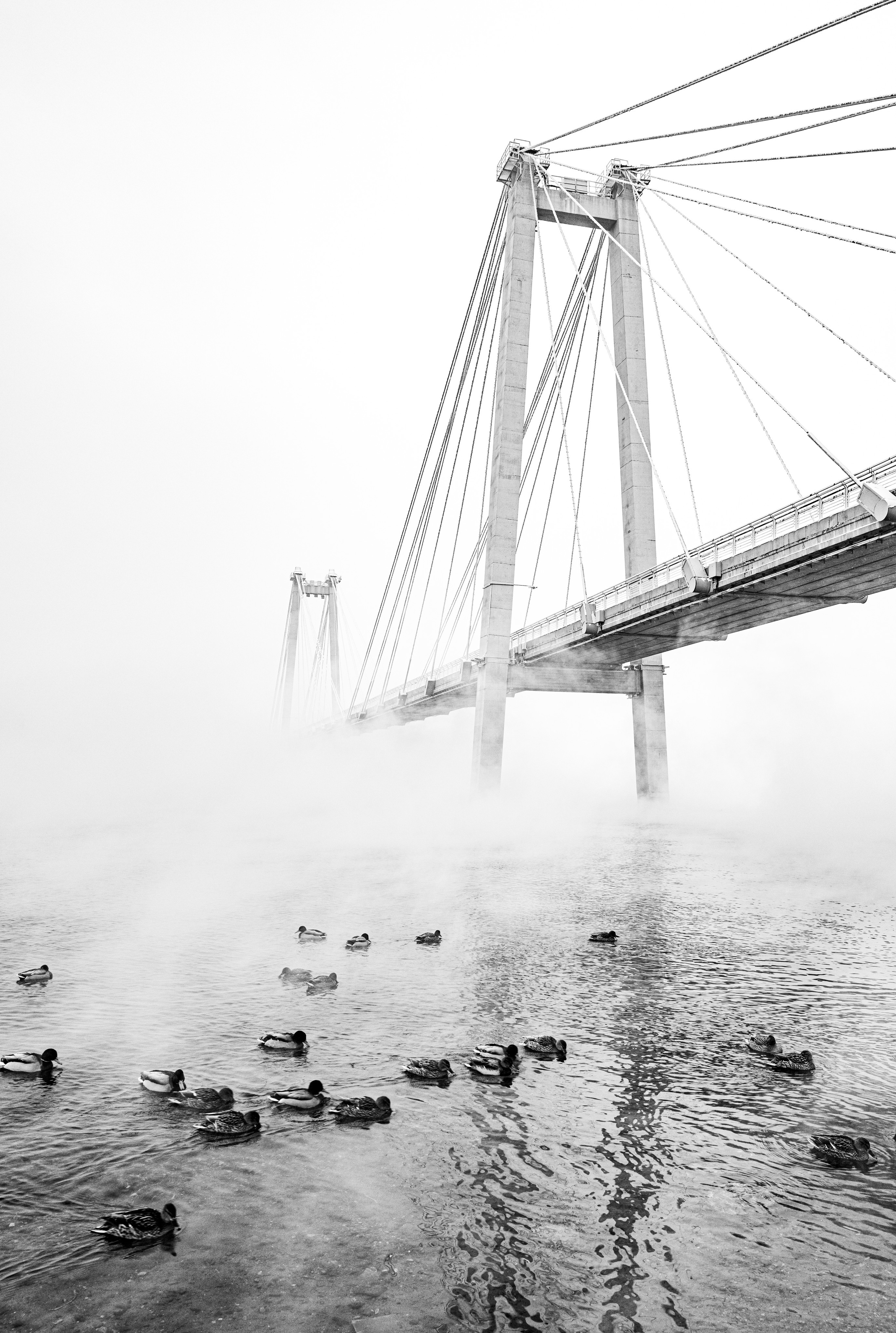 DOCUMENTARIES. Фотограф Красноярск — Москва Сергей Смелян