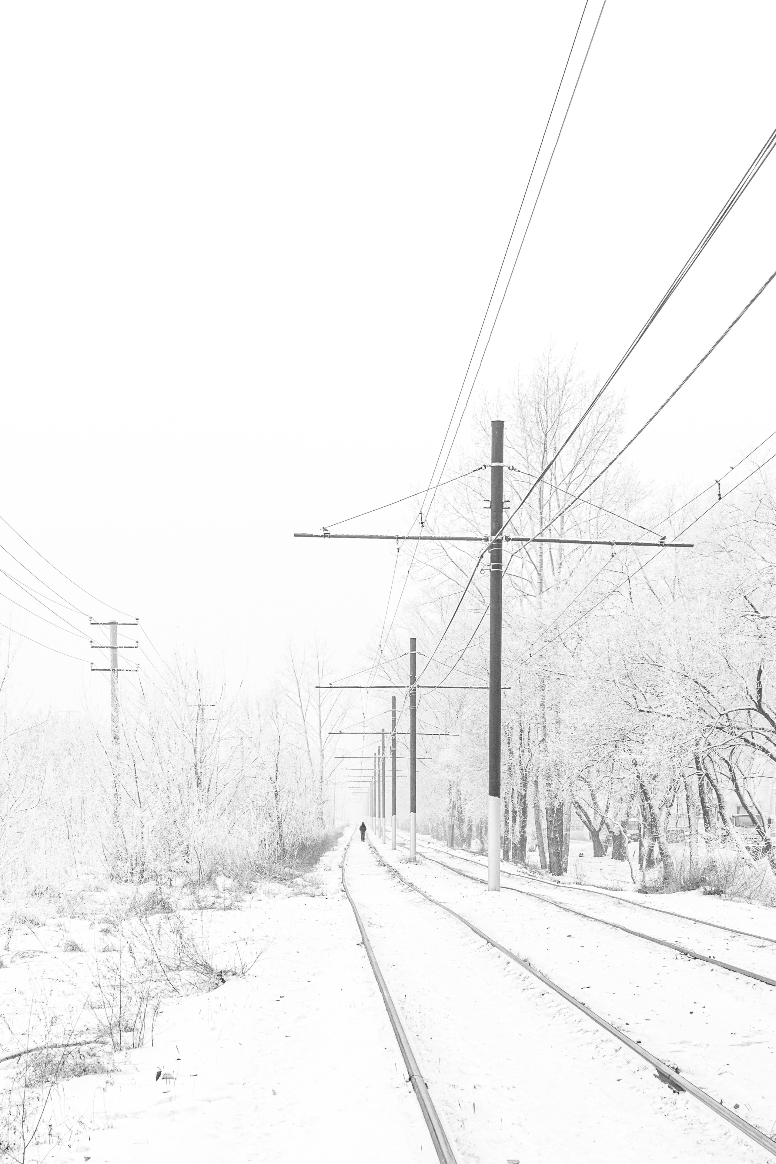 DOCUMENTARIES. Фотограф Красноярск — Москва Сергей Смелян