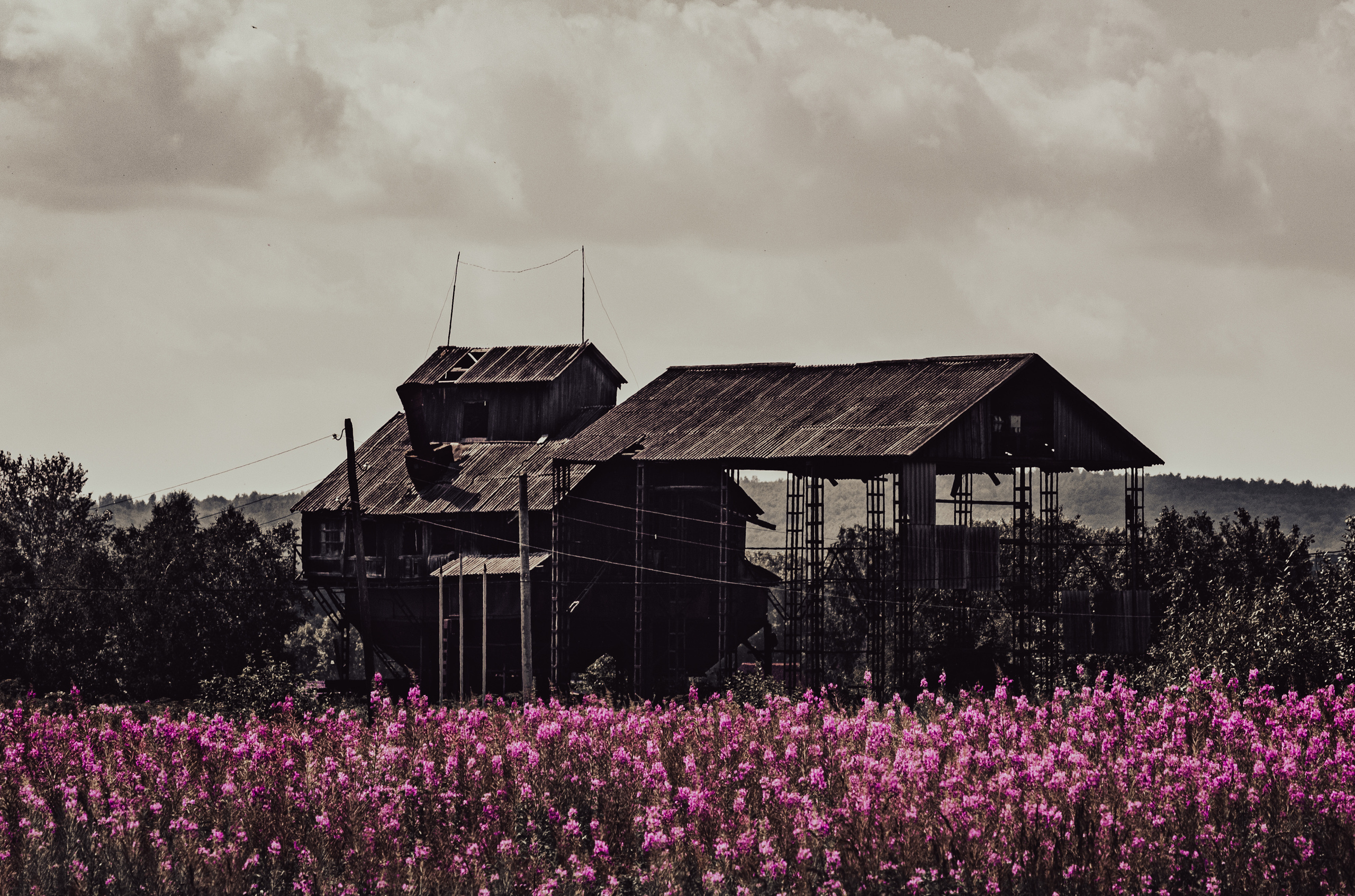 DOCUMENTARIES. Фотограф Красноярск — Москва Сергей Смелян