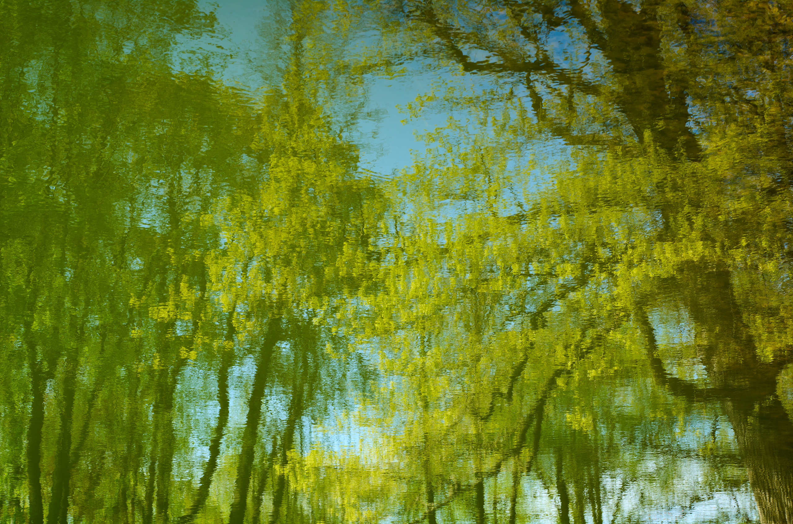 CONCEPTUAL. Фотограф Красноярск — Москва Сергей Смелян