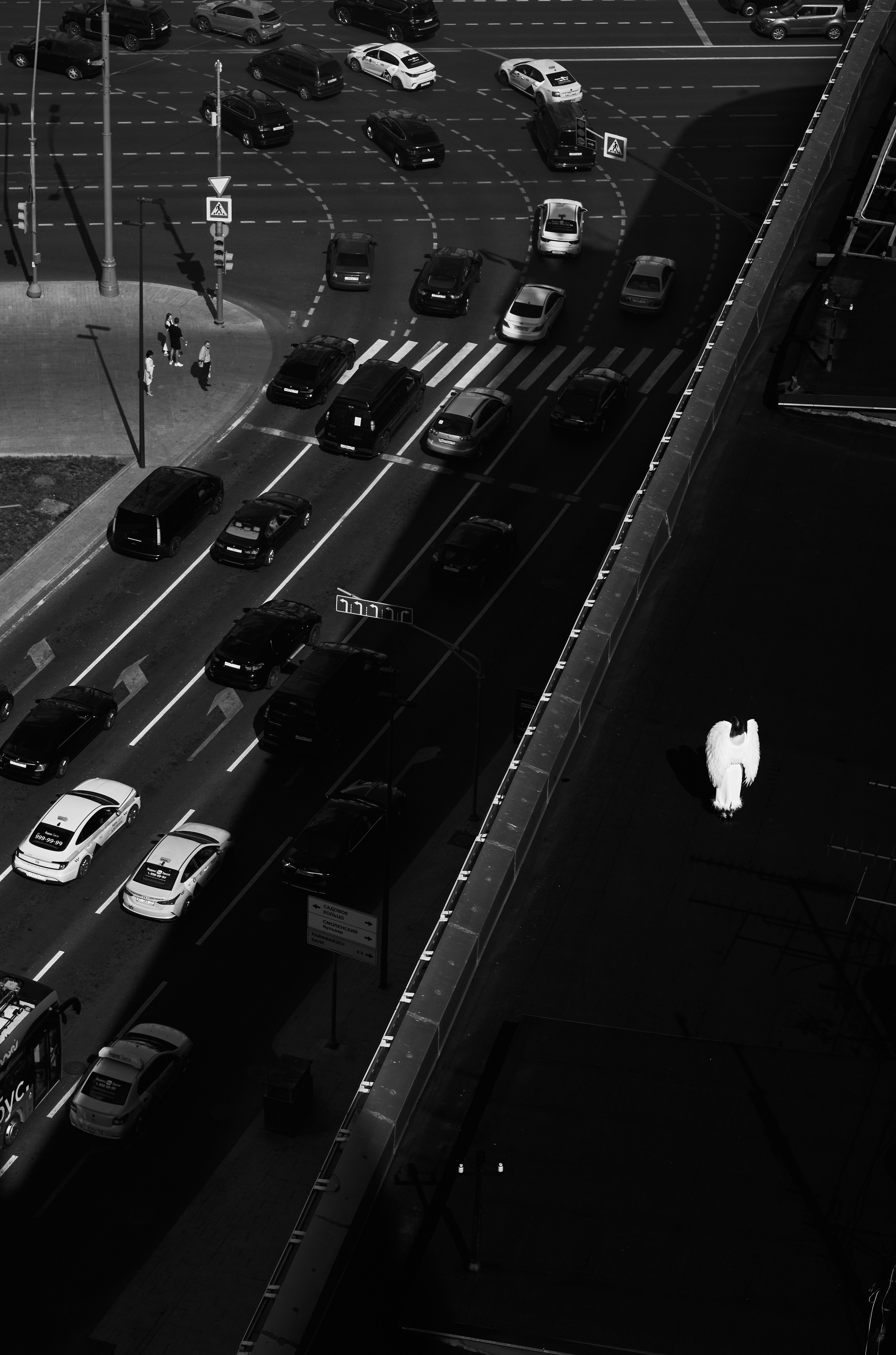 DOCUMENTARIES. Фотограф Красноярск — Москва Сергей Смелян