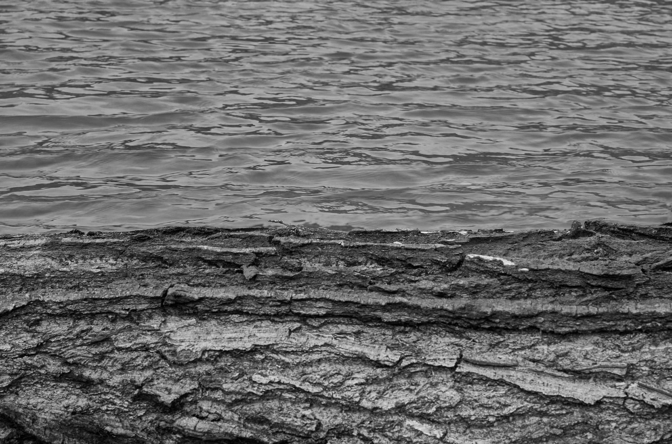 CONCEPTUAL. Фотограф Красноярск — Москва Сергей Смелян