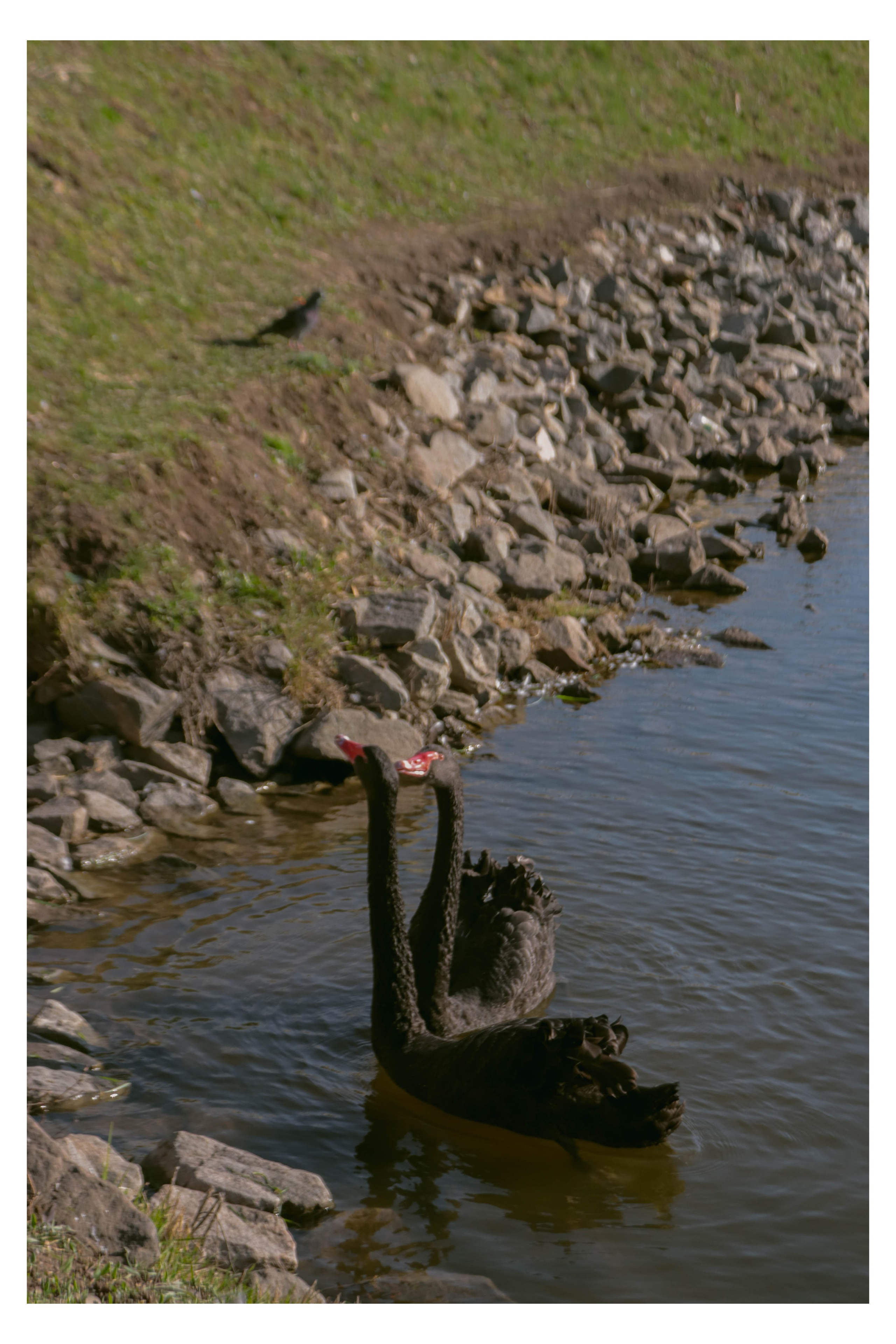 Альметьевск. Фотограф и видеограф в Бугульме Аня Трутнева