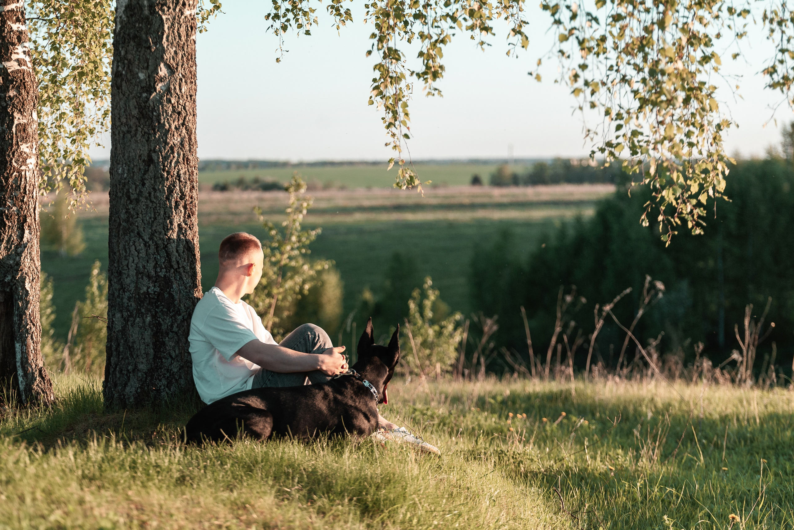 Юля, Андрей и Арес. Фотограф-анималист Анастасия Парфенова|Екатеринбург