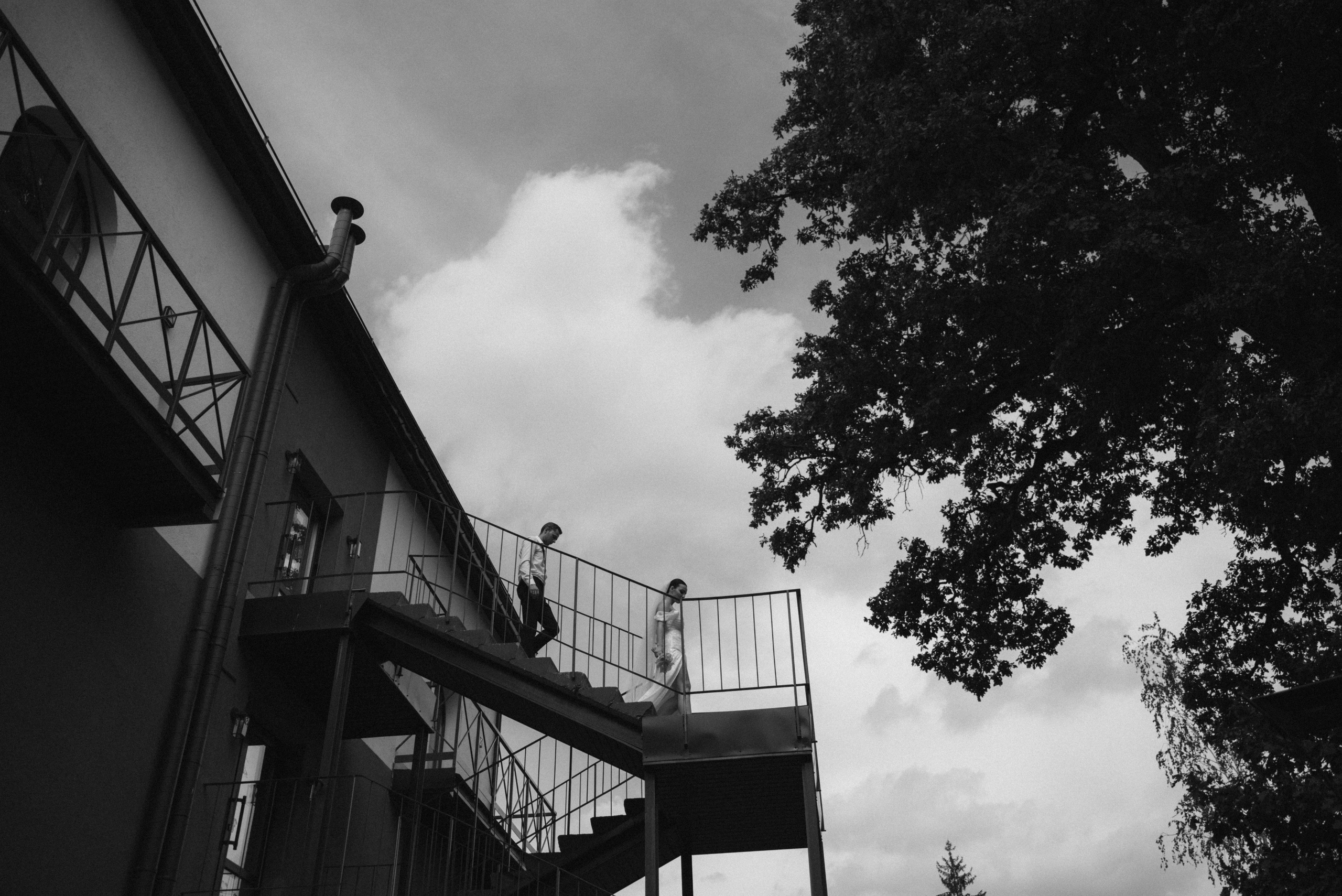 Михаил и Александра. Свадебный и портретный фотограф в Брянске и Москве Алина Химушкина