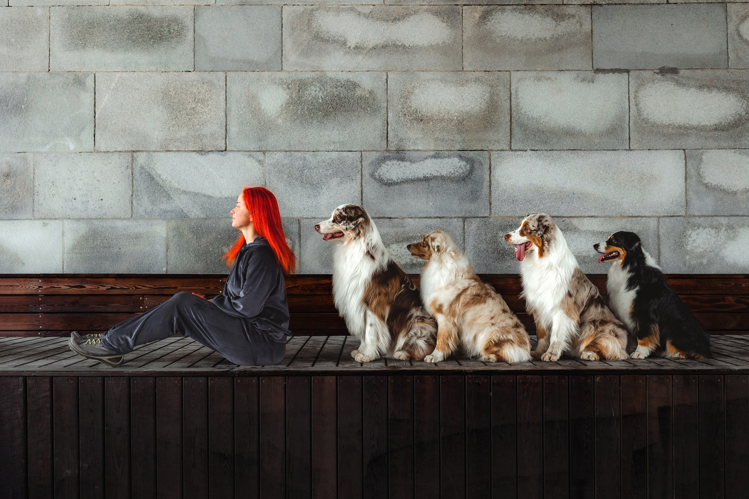 Как я выбираю, на какой объектив снимать животных?