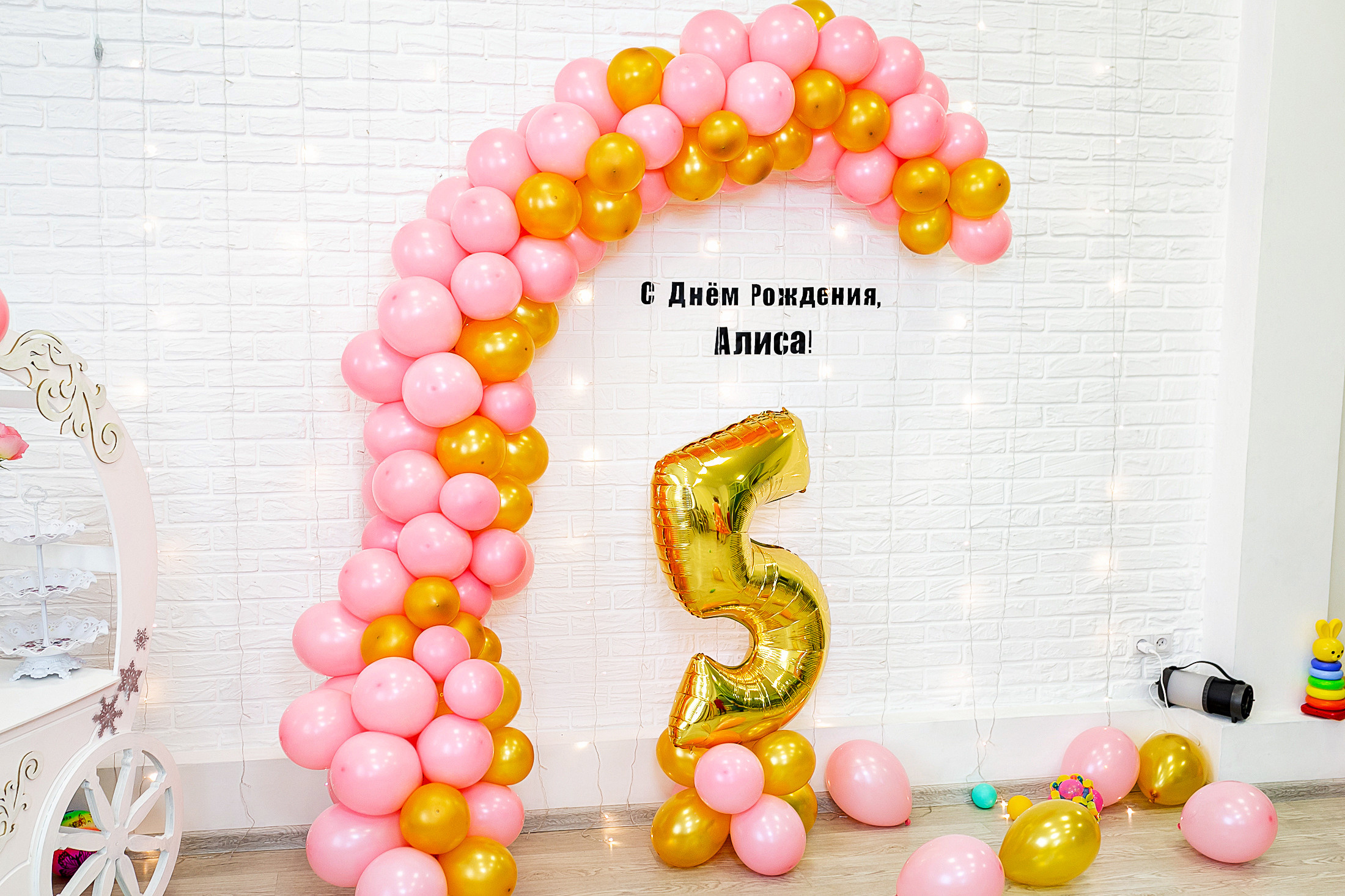 День Рождения Алисы. Фотограф в Новосибирске Сергей Белов