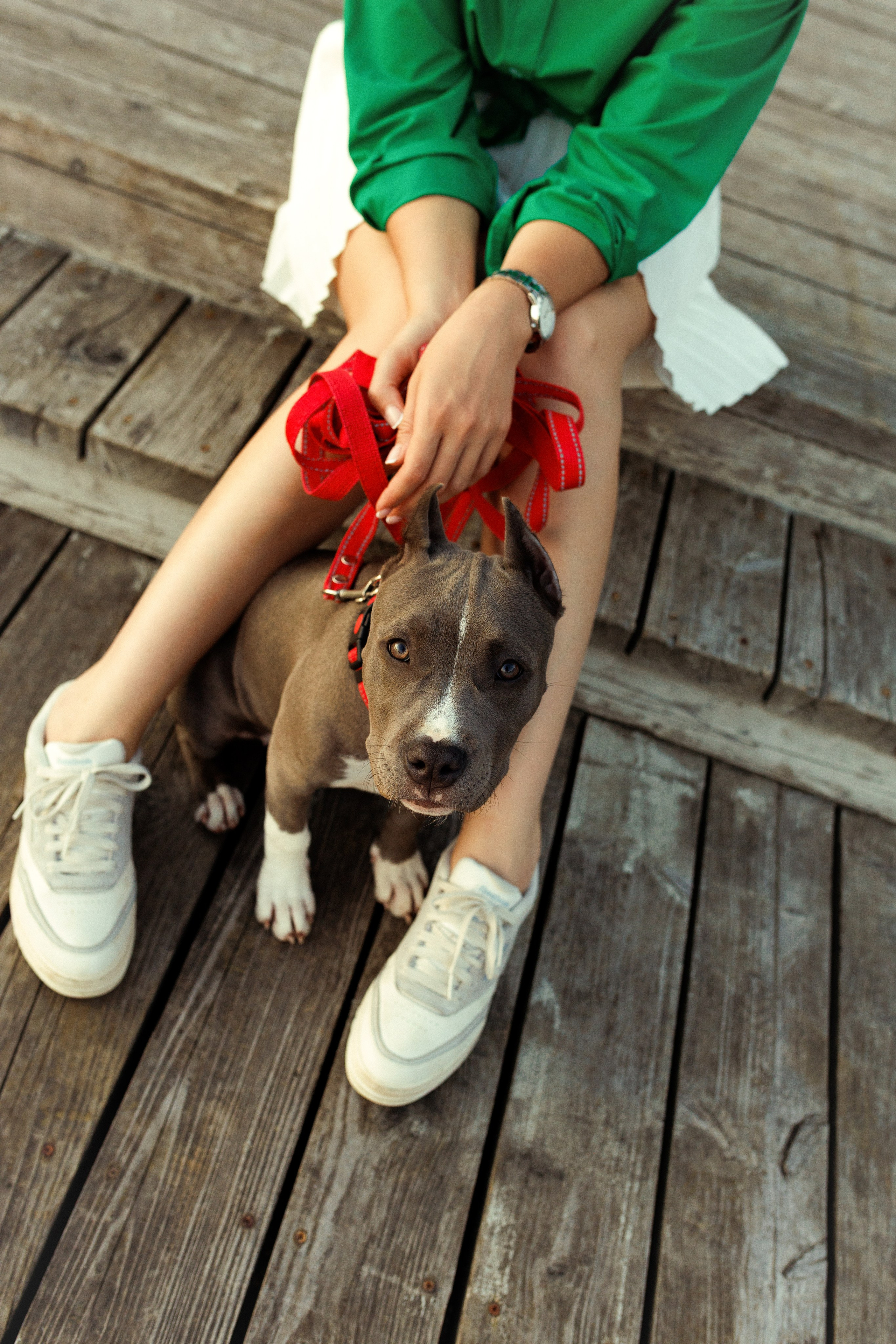 Сильвия и Терра. Александр Атлес Фотограф